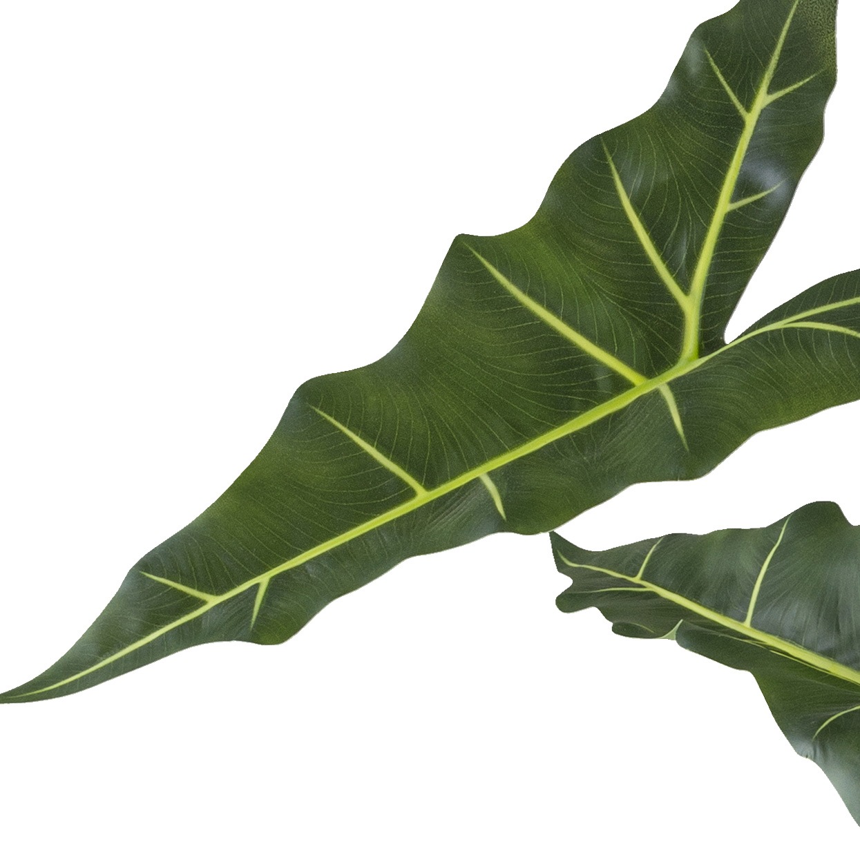 Creativ green Kunstpflanze »Alocasia zebrina sarian«, mit gestreiftem Stamm