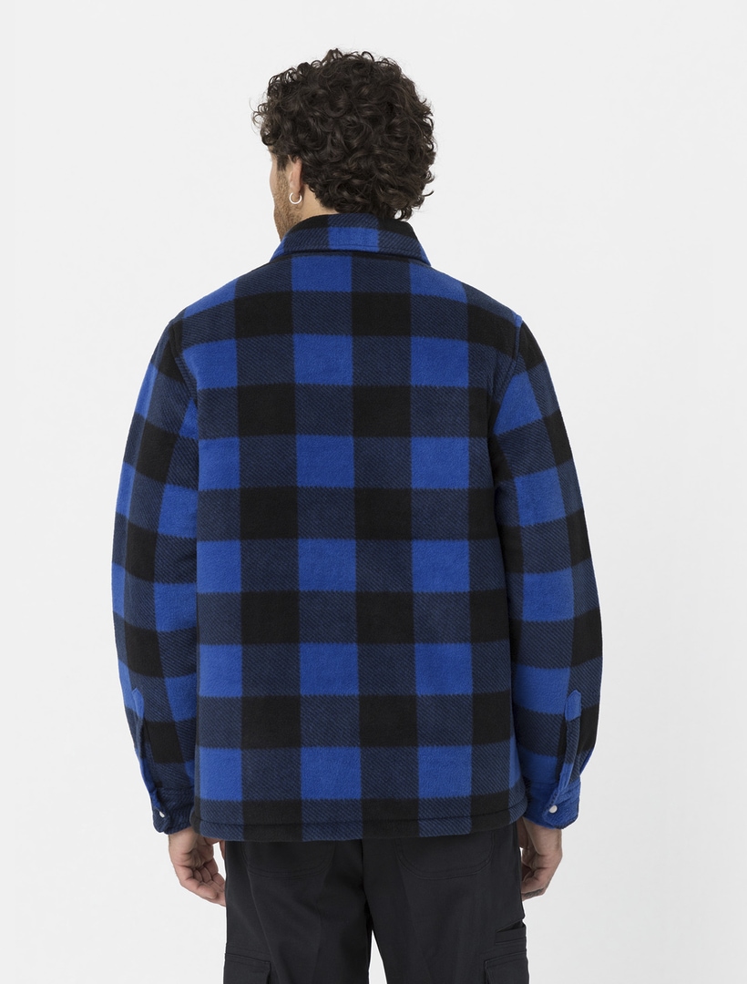 Dickies Funktionshemd »Dickies Workwear Hemden PORTLAND SHIRT«