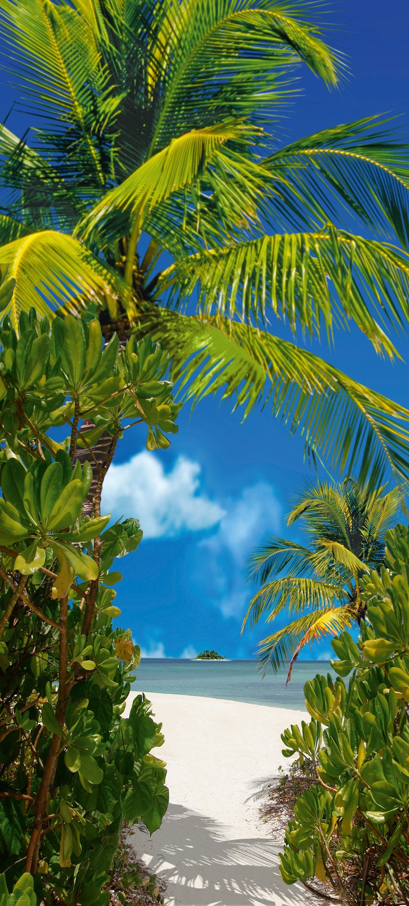 Papermoon Fototapete "Tahiti - Türtapete" matt