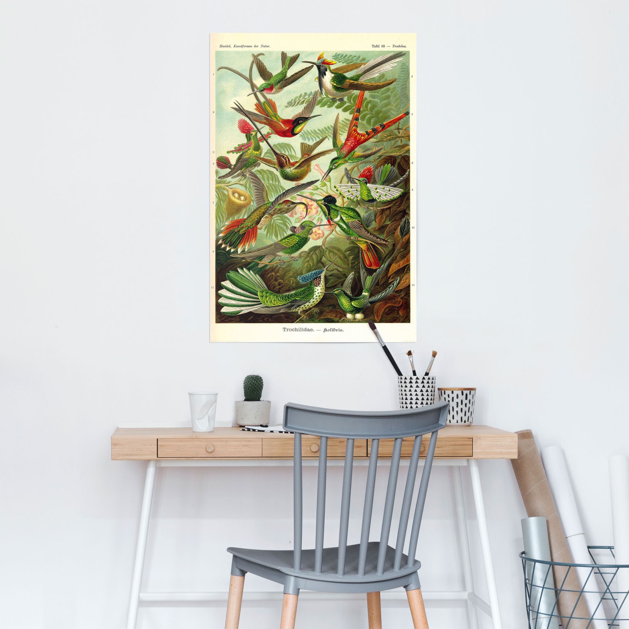 Reinders Poster "Kolibris Lithografie" 1 Stk. tlg. günstig online kaufen