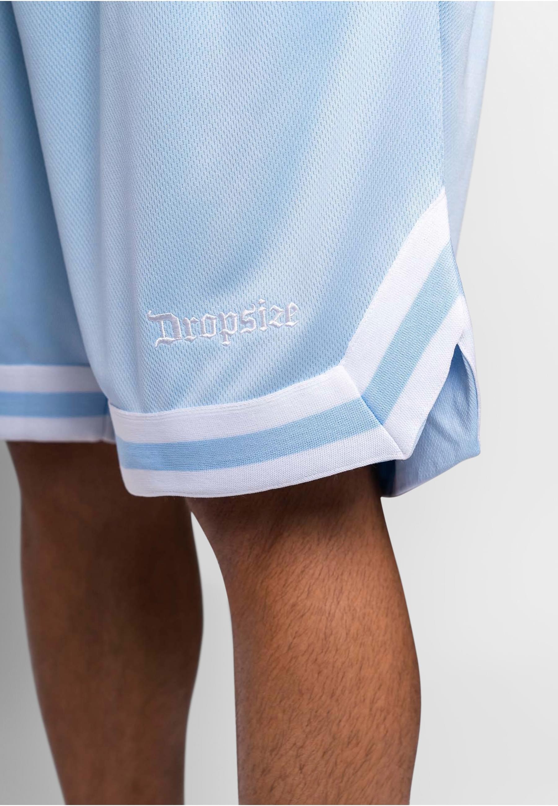 Dropsize Shorts »Dropsize Herren Dropsize Logo Mesh Shorts«, (1 tlg.)