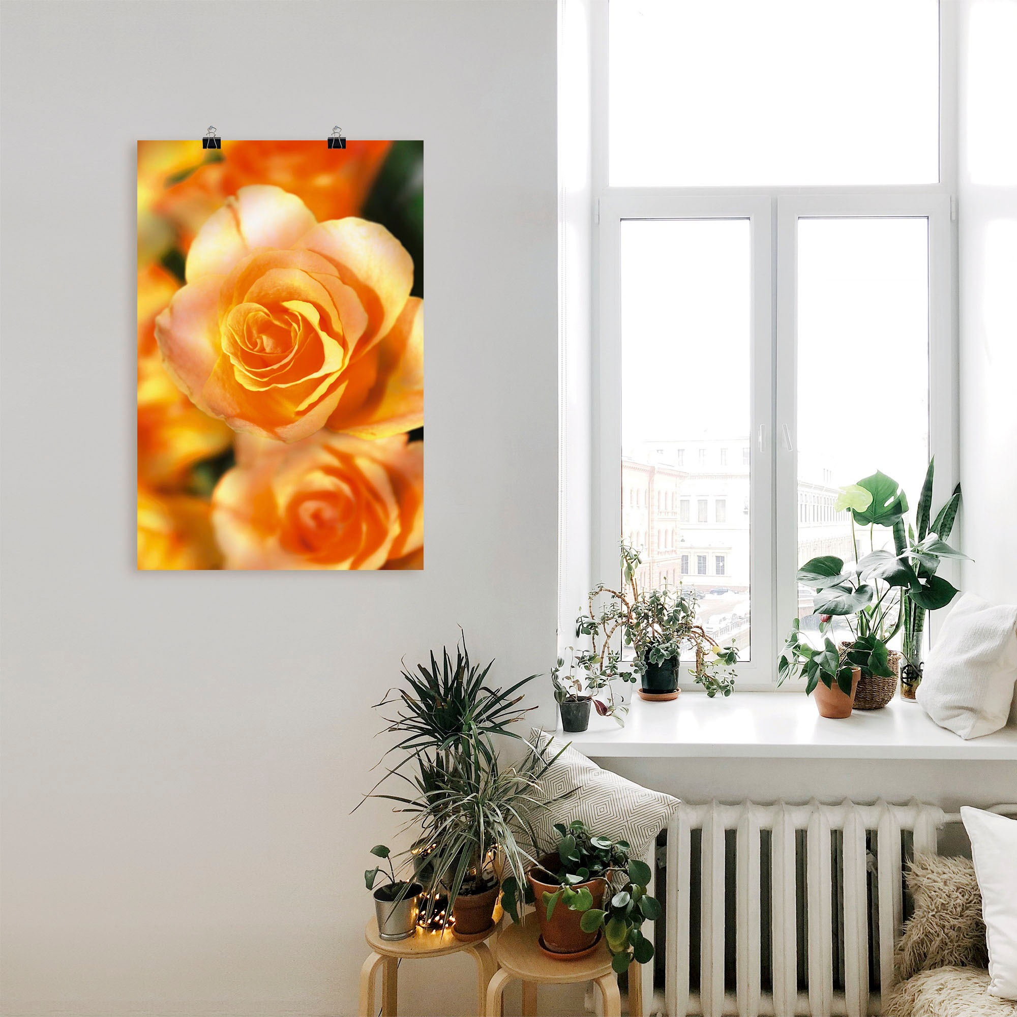 Artland Poster »Strahlende Sommerrosen«, Blumen, (1 St.), als Alubild, Leinwandbild, Wandaufkleber oder Poster in versch. Größen