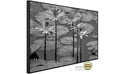Papermoon Infrarotheizung »Seerosen, Teich, Blüten, Blätter Schwarz & Weiß«, sehr... kaufen