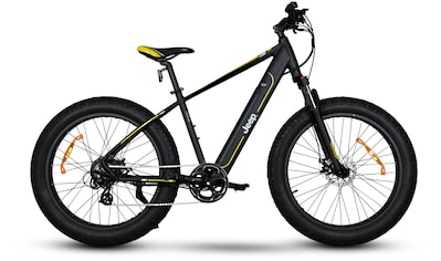 E-Bike »MHFR 7100 FAT«, 7 Gang, Heckmotor 250 W, (mit Akku-Ladegerät)