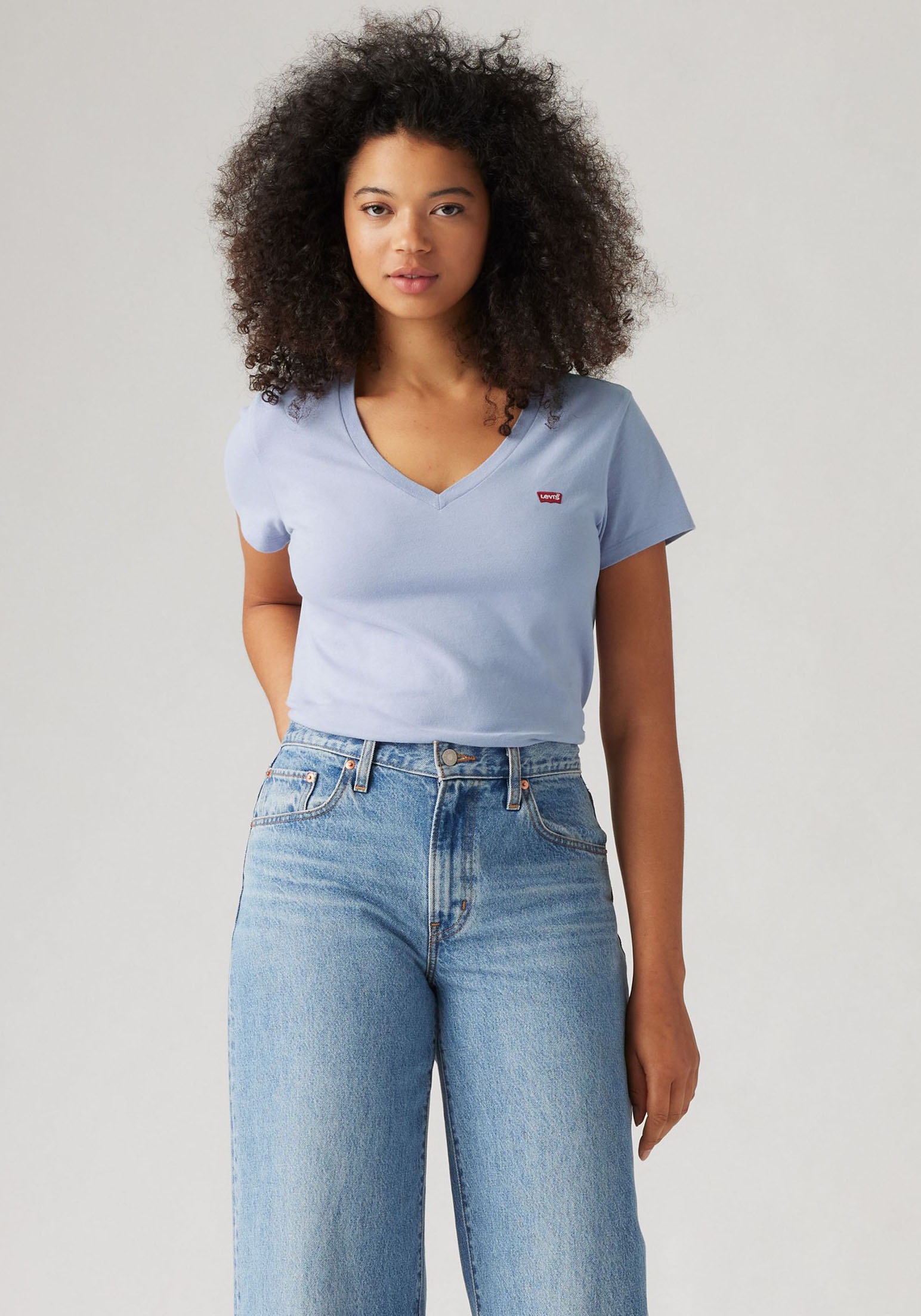 Levis T-Shirt "VNECK TEE 2 PACK", 2 Stk. günstig online kaufen