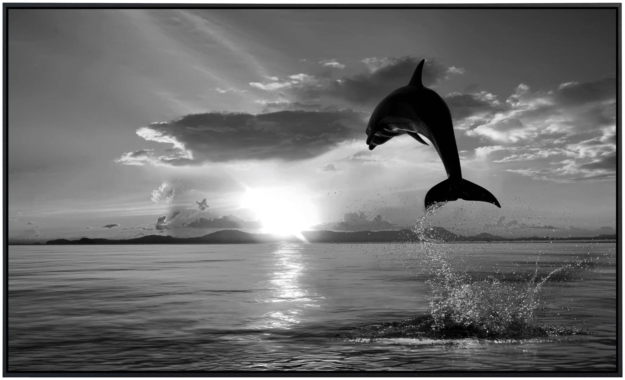 Papermoon Infrarotheizung »Delfin Schwarz & Weiß«, sehr angenehme Strahlungswärme