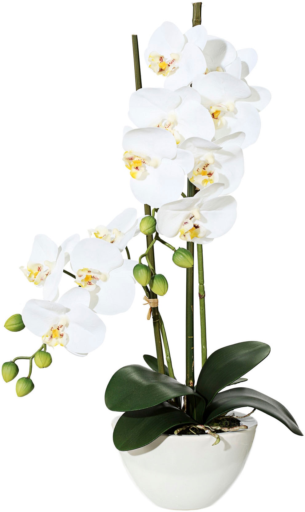 Creativ green Kunstpflanze "Orchidee" günstig online kaufen