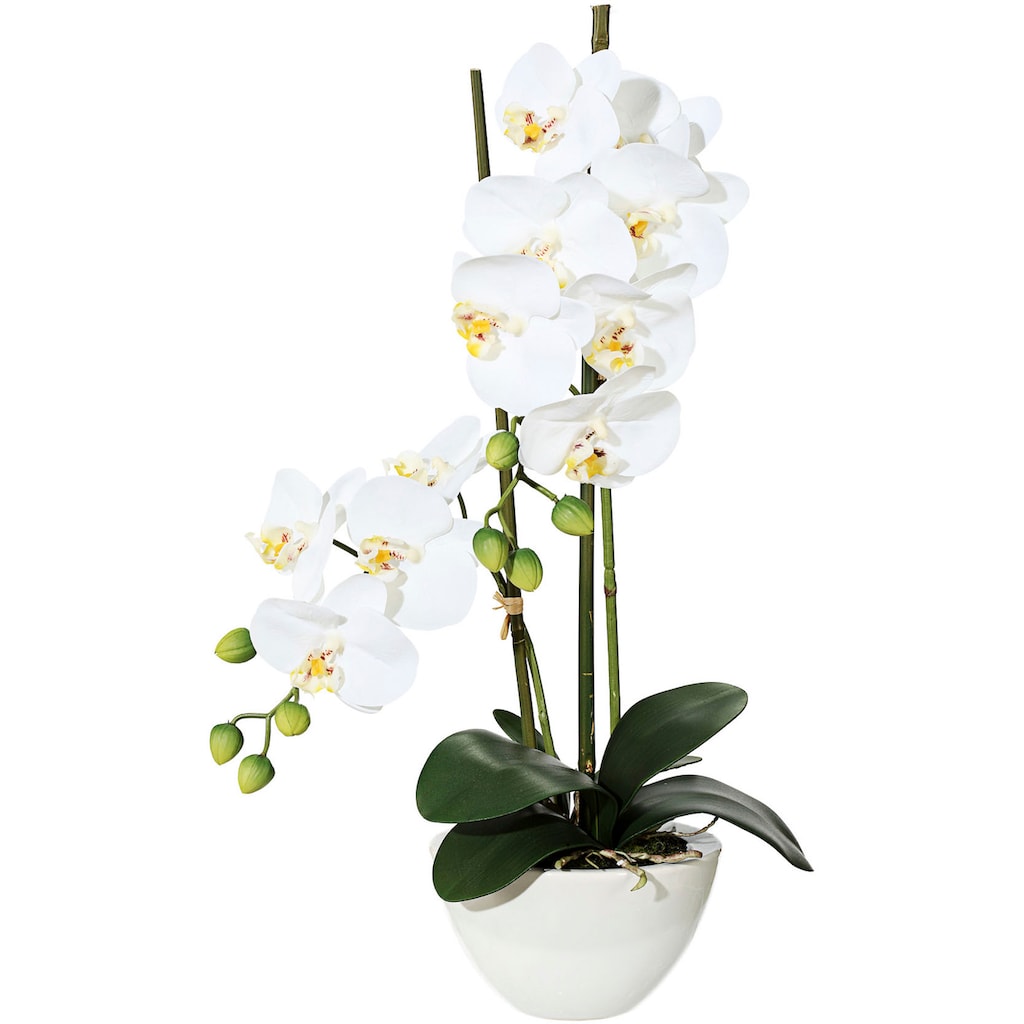 Creativ green Kunstpflanze »Orchidee«, (1 St.)