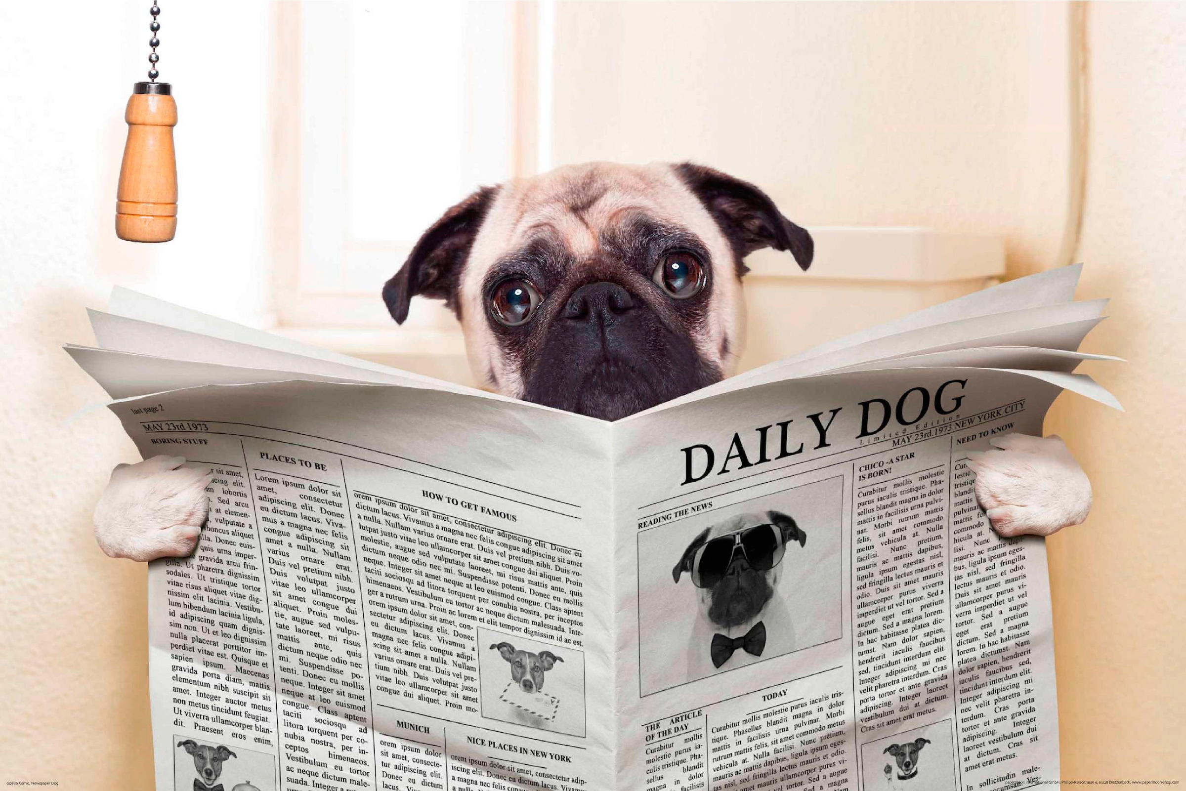 Papermoon Fototapete "Newspaper Dog" glatt