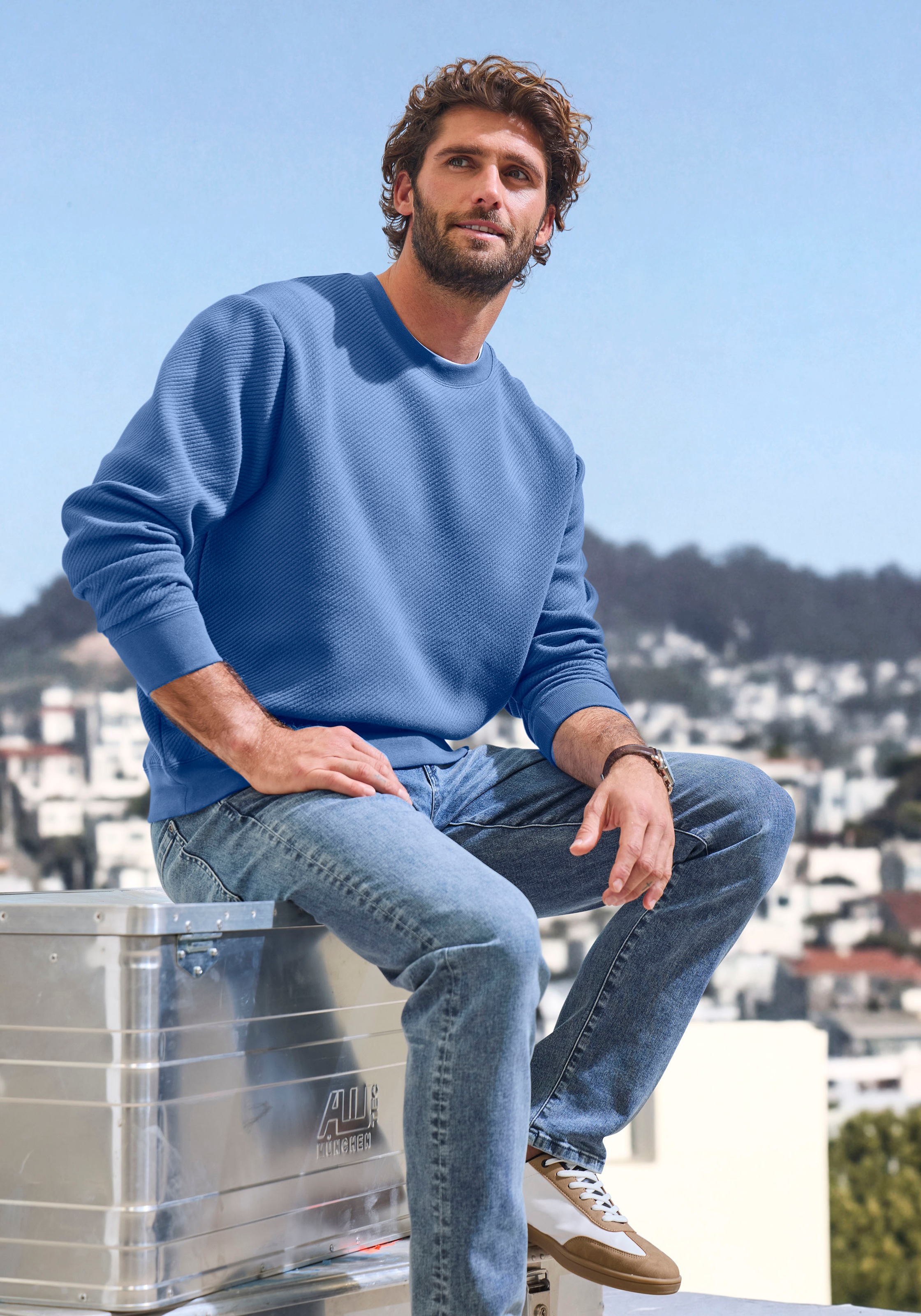 John Devin Sweatshirt, Langarm, Pullover mit Struktur, Rundhals, Baumwollmischung