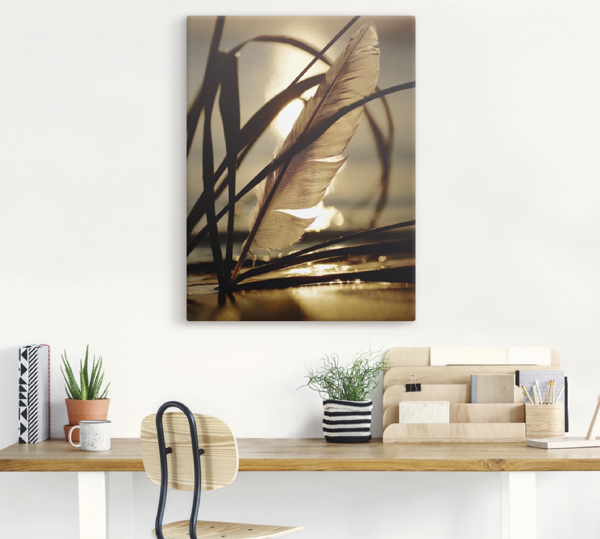 Artland Wandbild »Feder im Abendlicht«, Gräser, (1 St.), als Leinwandbild, Poster, Wandaufkleber in verschied. Größen