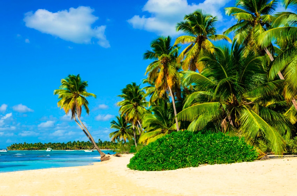Papermoon Fototapete "Exotic Palm Beach" glatt