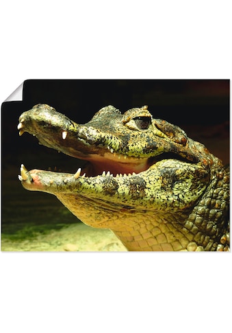 Artland Paveikslas »Ein lächelndes Krokodil« W...