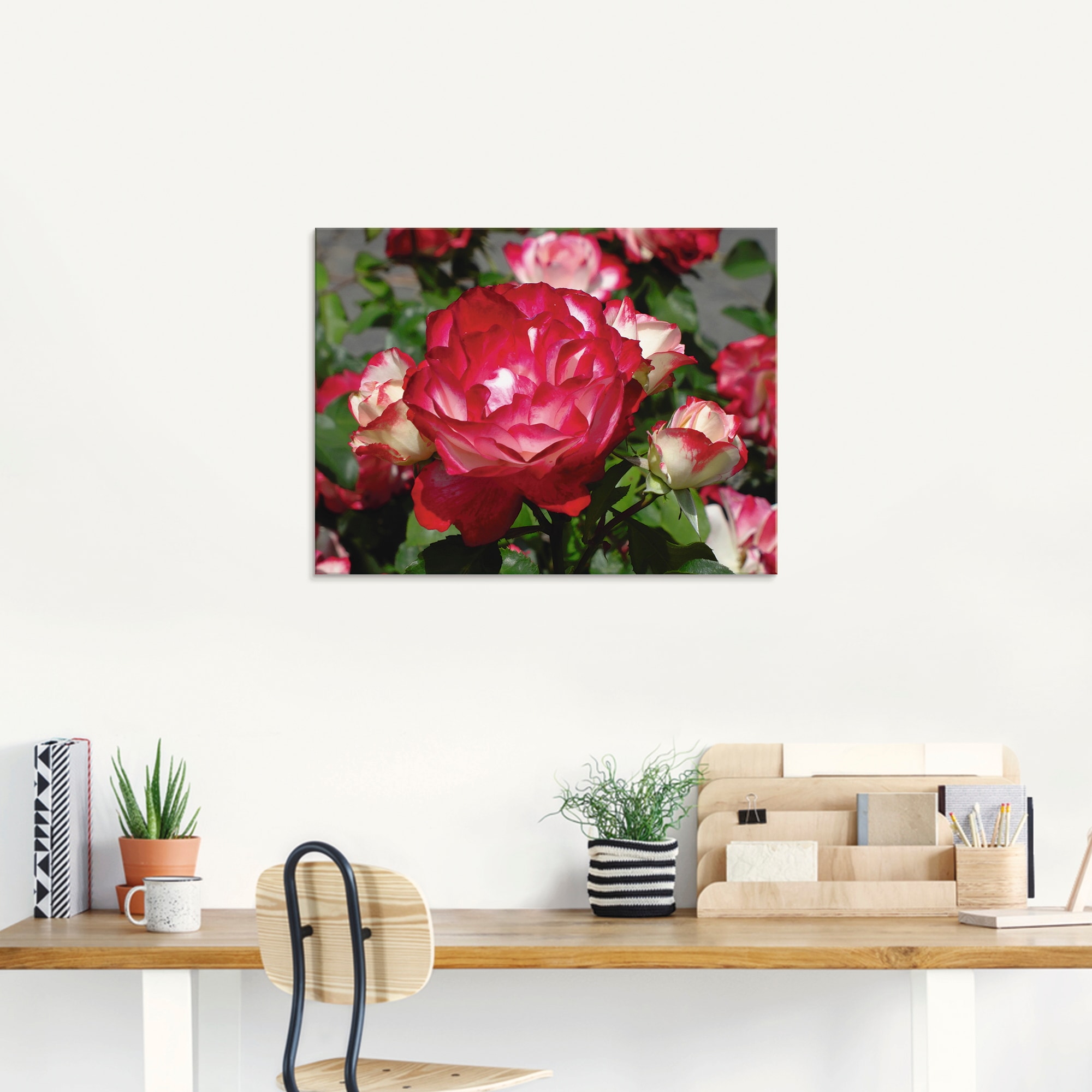 Artland Glasbild »Rot weiße Rosenblüte«, Blumen, (1 St.), in verschiedenen Größen