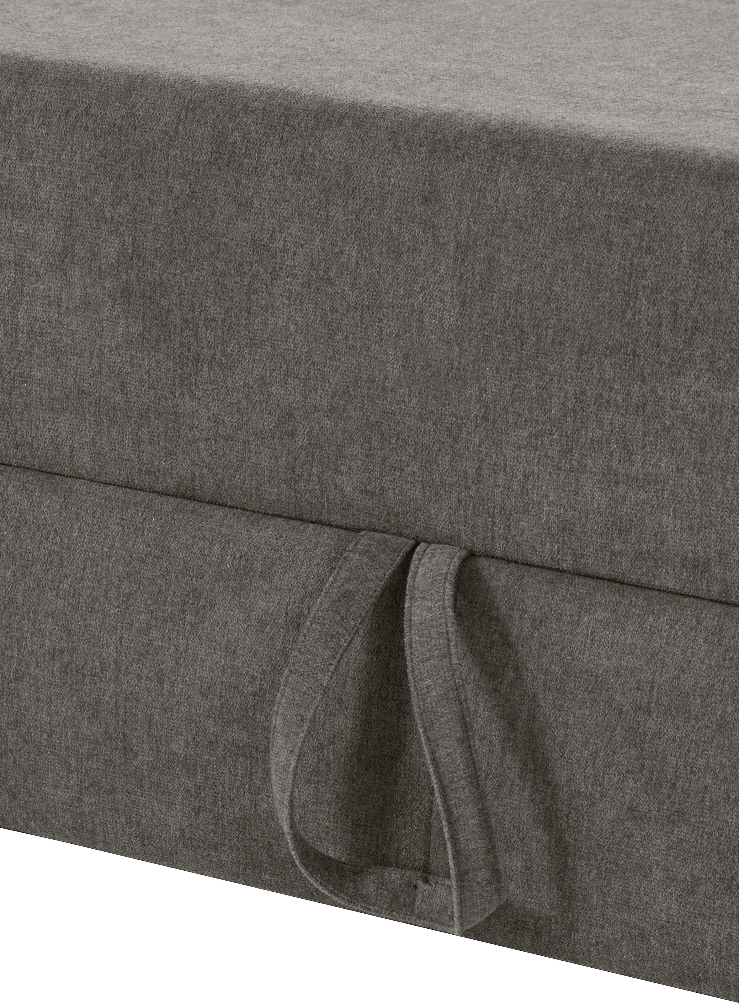 sit&more Ecksofa »Darwin L-Form«, inklusive Federkern, wahlweise mit Kopfteilverstellung, Bettfunktion