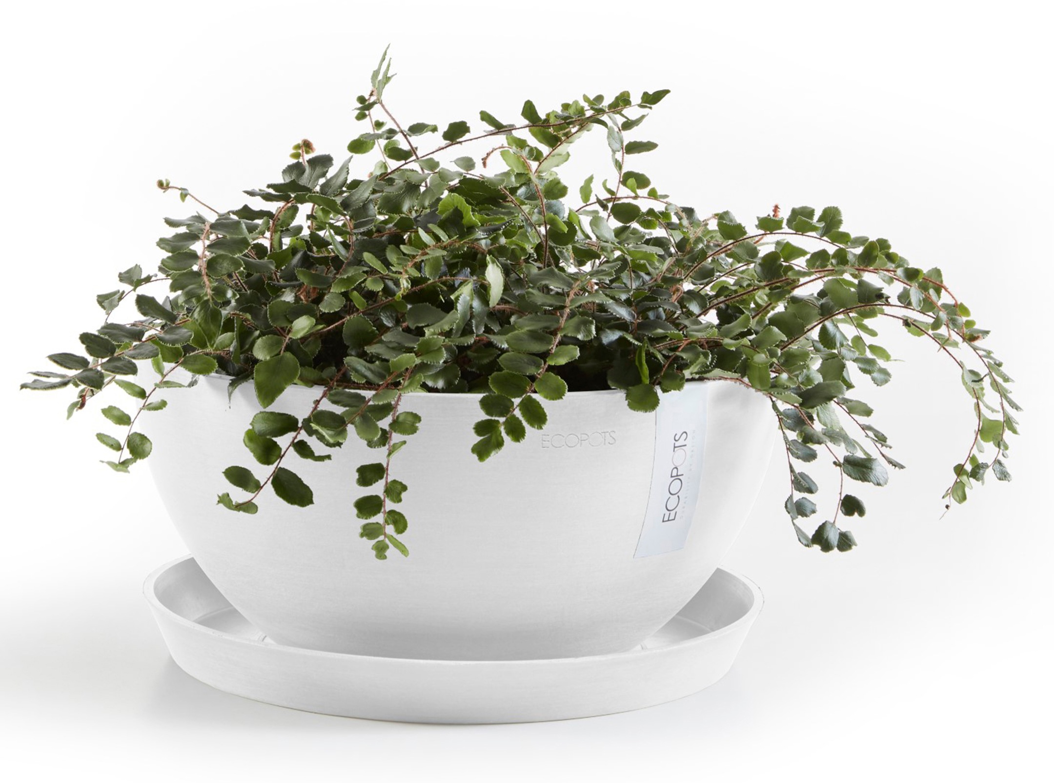 ECOPOTS Blumentopf »Brussels 35 Weiß«, für innen und außen: frostsicher, bruchsicher und lichtbeständig