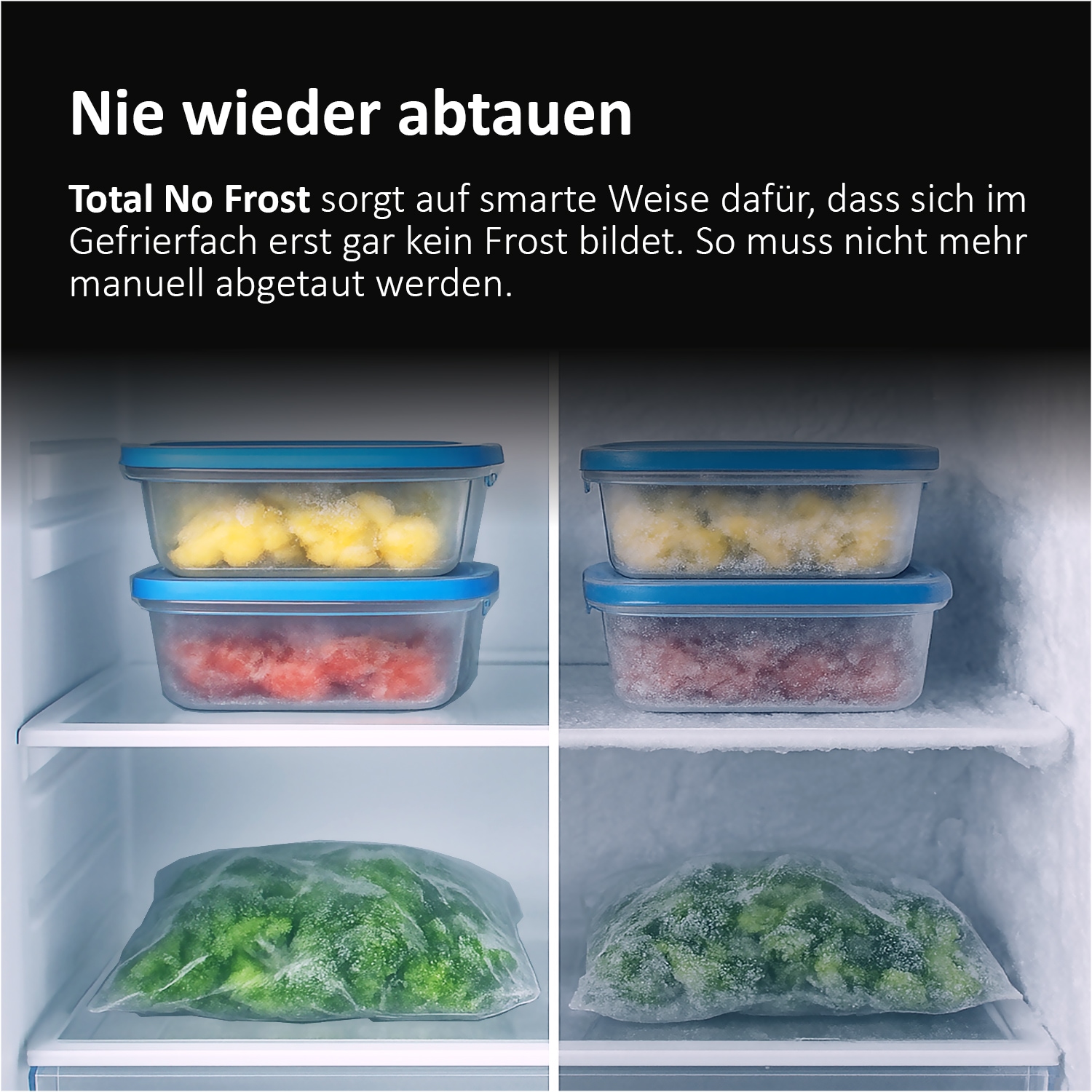 Haier Kühl-/Gefrierkombination 3D 60 SERIES 5 »HTW5620CNMP« 205 cm hoch 59,5 cm breit Humidity Zone: Obst, Gemüse und Salat 2x länger frisch halten