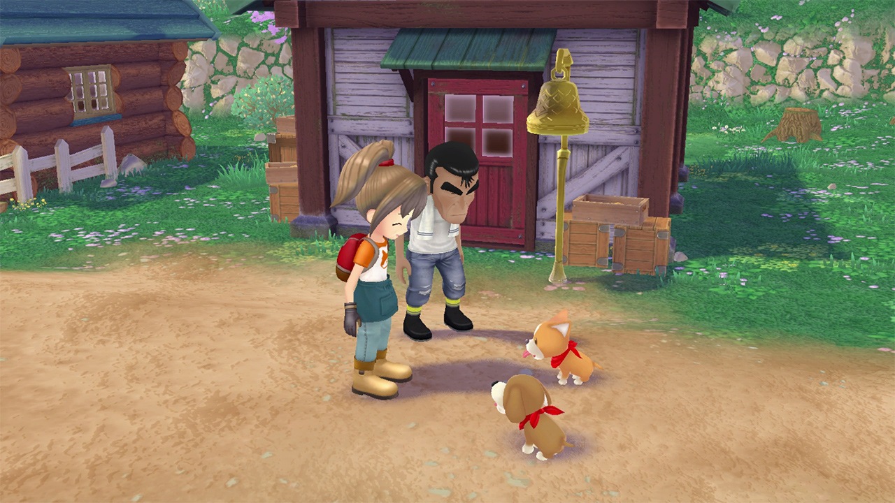 Marvelous Games Spielesoftware »Story of Seasons: A Wonderful Life«, Nintendo Switch