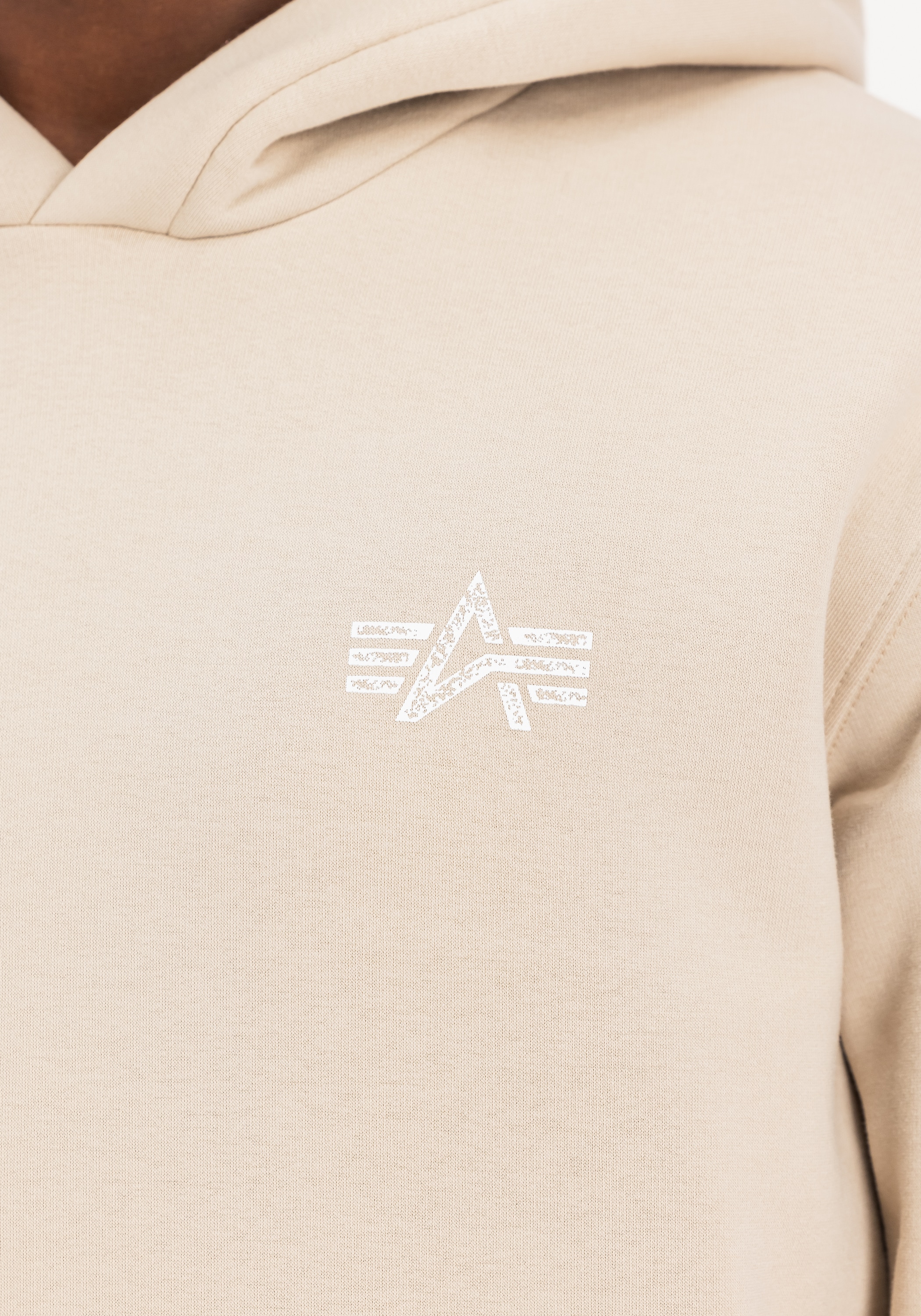 Alpha Industries Hoodie »Signature Backprint Hoodie«