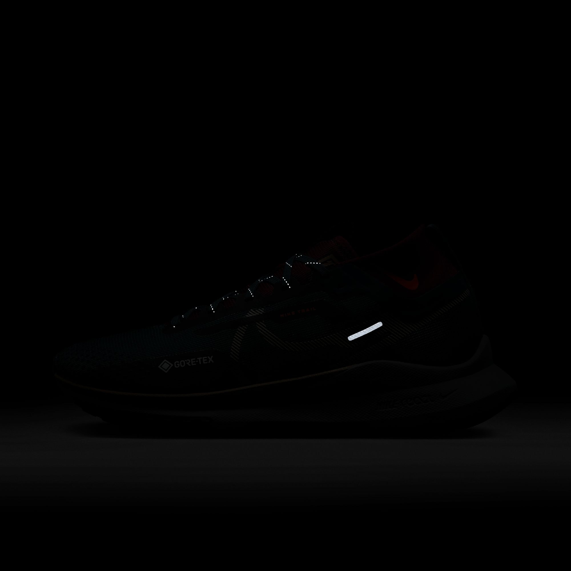 Nike Laufschuh »PEGASUS TRAIL 4 GORE-TEX WATERPROO«, wasserdicht