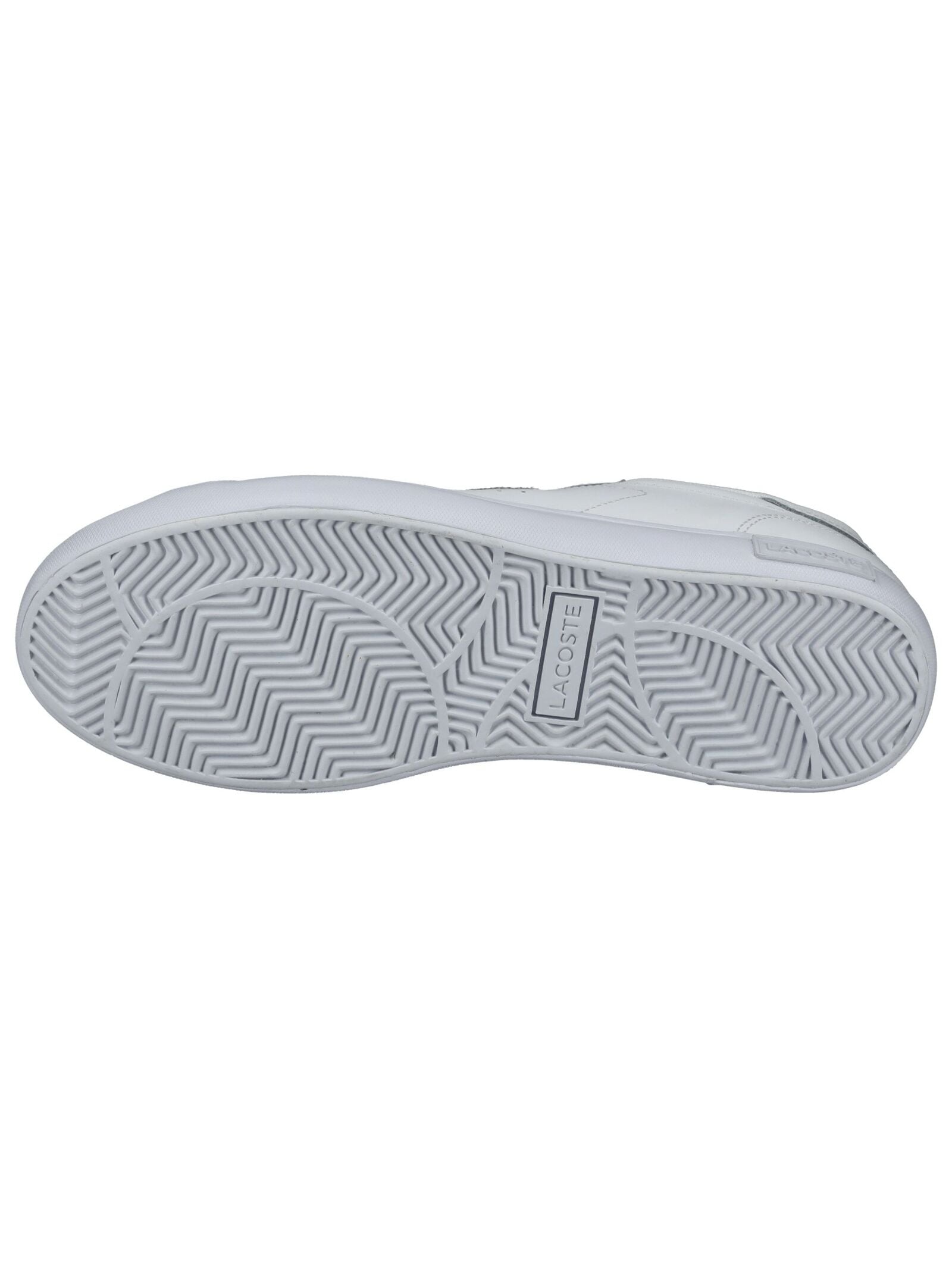 Lacoste Sneaker »lacoste Sneaker Lederimitat«