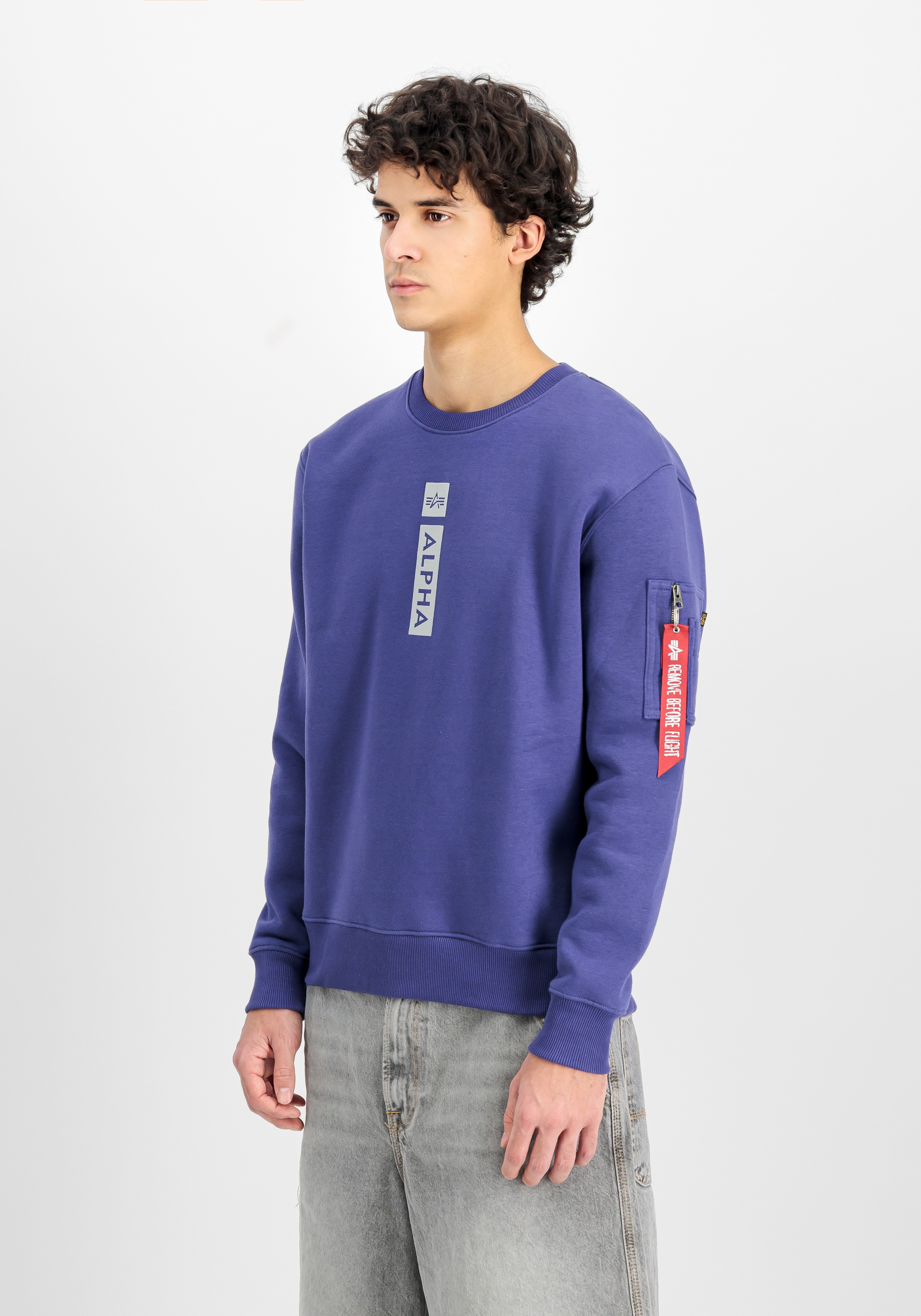 Alpha Industries Sweater »Alpha Industries Men - Sweatshirts Alpha Refl. Print Sweater«