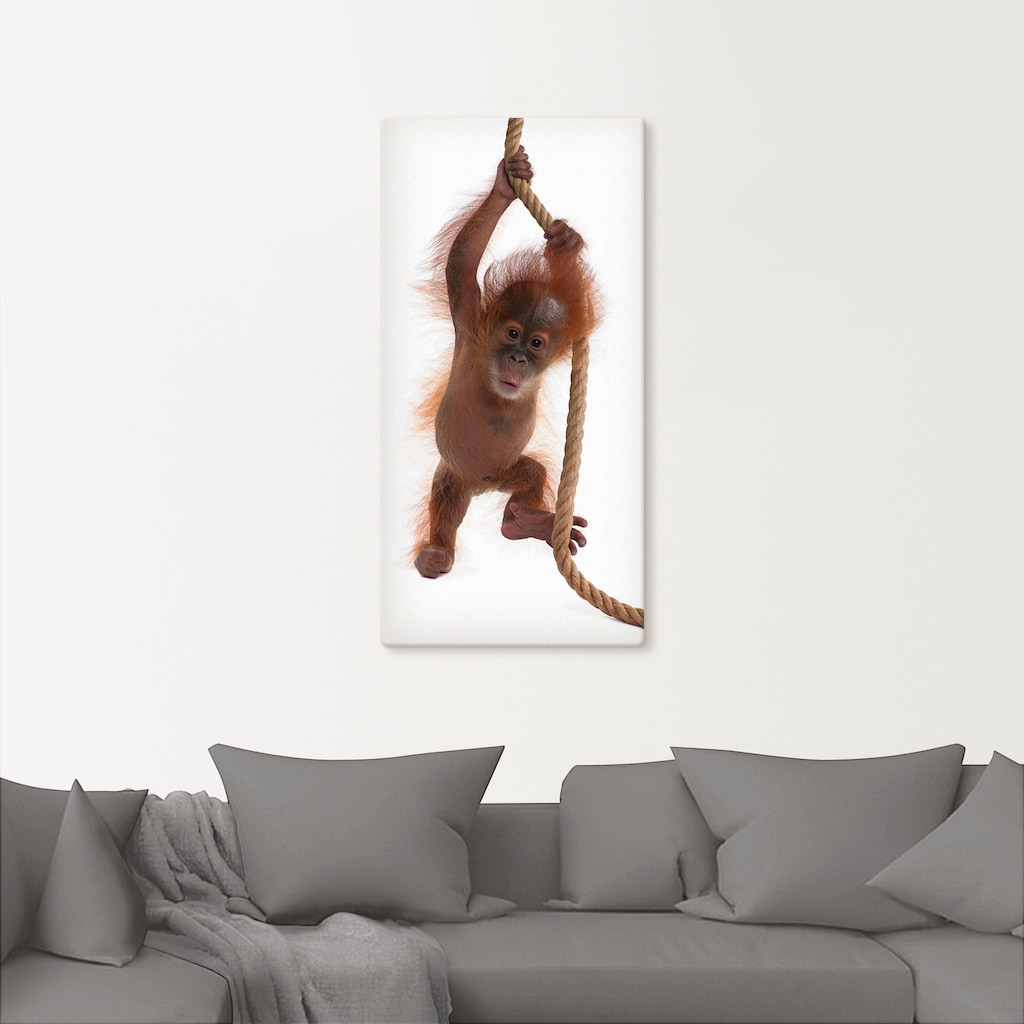 Artland Wandbild »Baby Orang Utan hängt am Seil I«, Wildtiere, (1 St.)