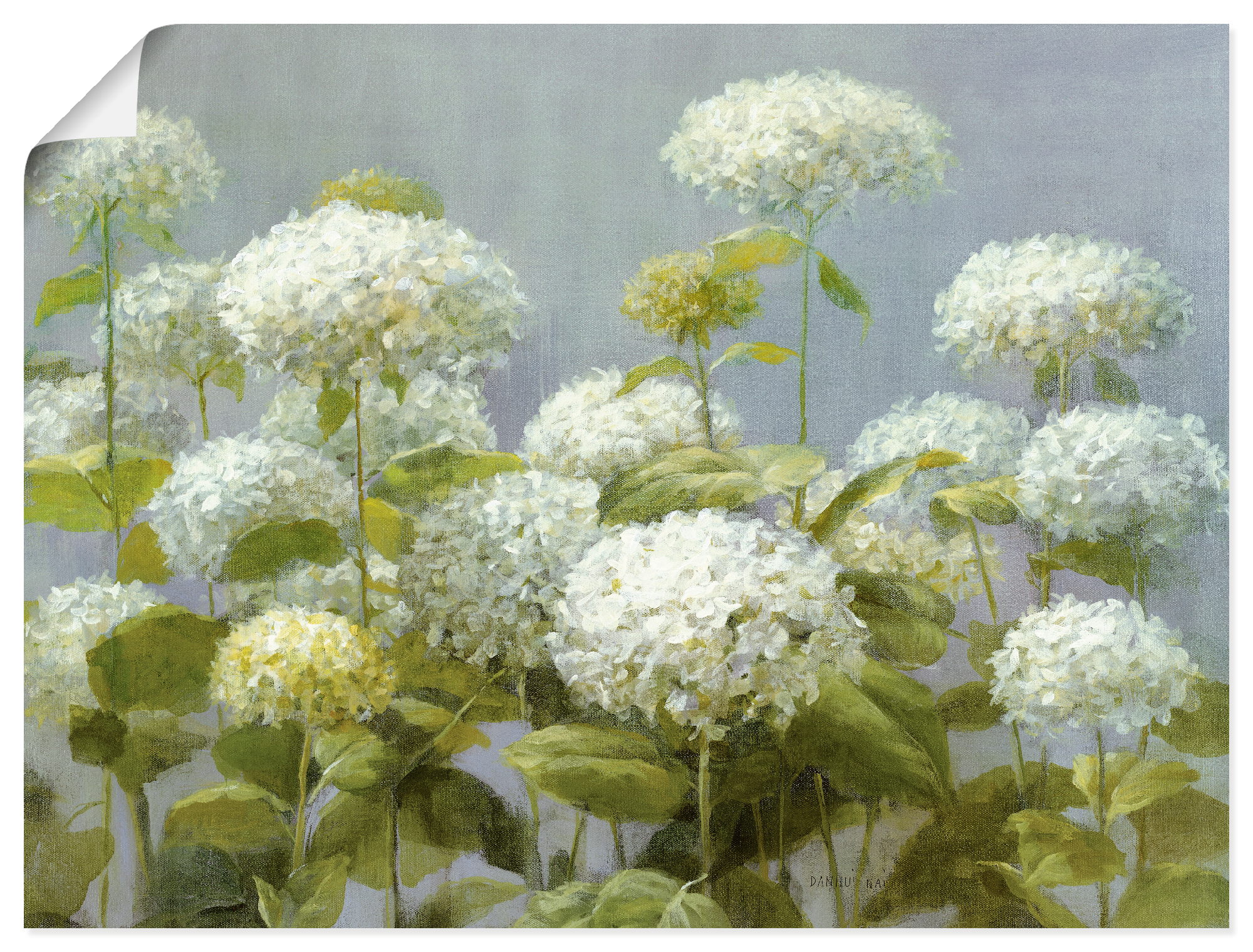 Artland Wandbild "Weißer Hortensien Garten" Blumen 1 Stk. tlg. als Leinwandbild, Poster in verschied. Größen