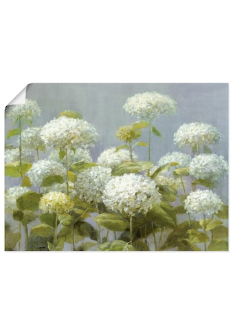 Artland Wandbild »Weißer Hortensien Garten«, Blumen, (1 St.), in vielen Größen &... kaufen