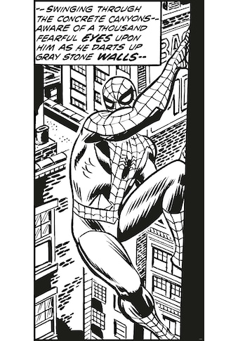 Vliestapete »Spider-Man Classic Climb«