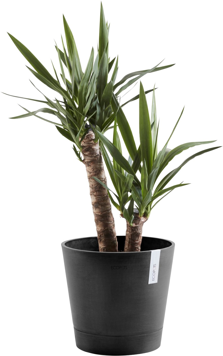 ECOPOTS Blumentopf "VENICE Dark Grey", BxTxH: 40x40x35 cm günstig online kaufen