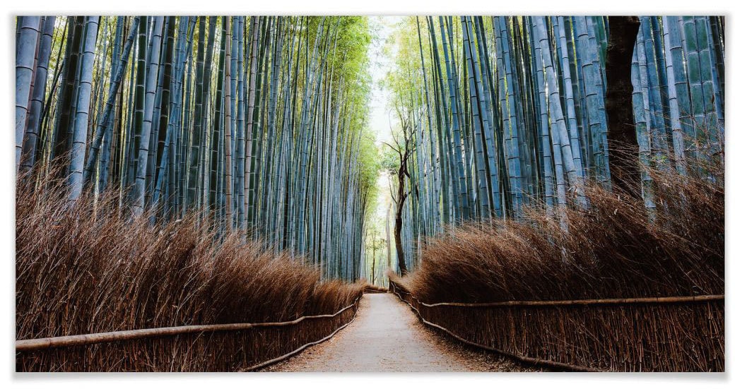 Wandbild, (1 Japan«, St.), Poster, Bild, kaufen »Bambushöhle Poster | BAUR Wandposter Wall-Art Höhlen,