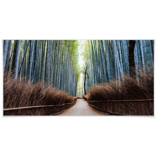 Wall-Art Poster »Bambushöhle Japan«, Höhlen, (1 St.), Poster, Wandbild, Bild,  Wandposter kaufen | BAUR