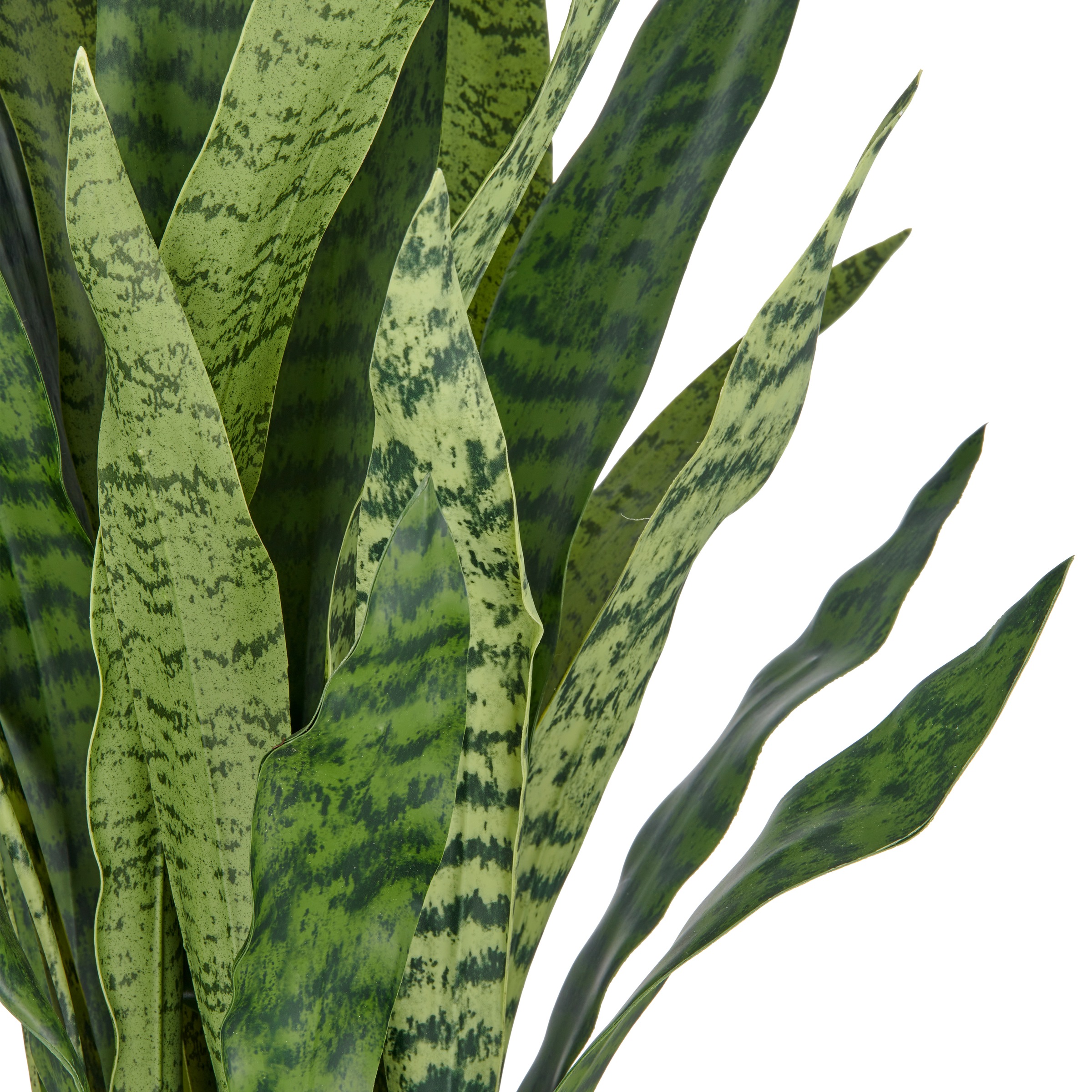 Creativ green Kunstpflanze "Sansevieria zeylanica", im eleganten Topf günstig online kaufen