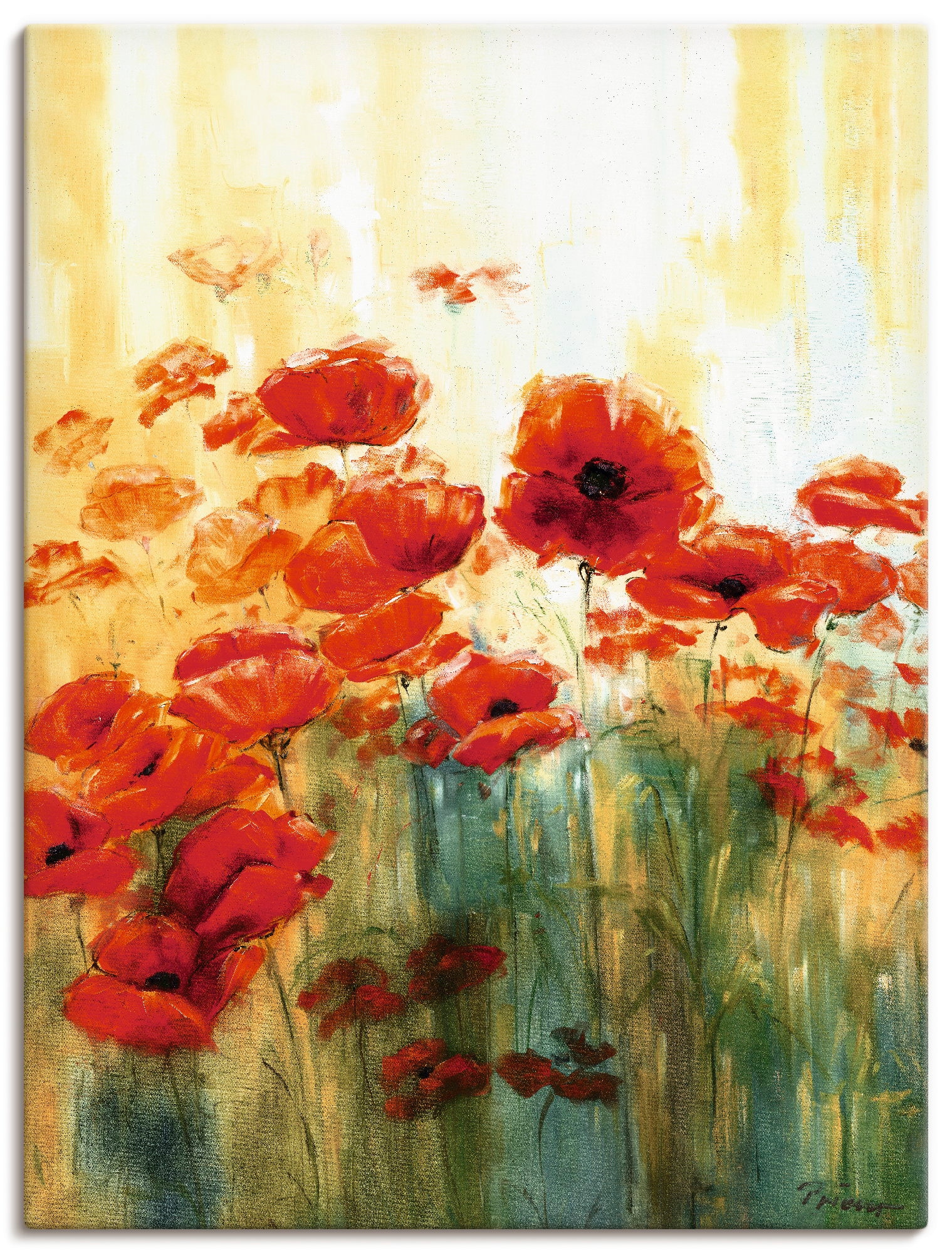 Artland Wandbild "Mohnwiese", Blumen, (1 St.), als Alubild, Outdoorbild, Leinwandbild, Poster in verschied. Größen