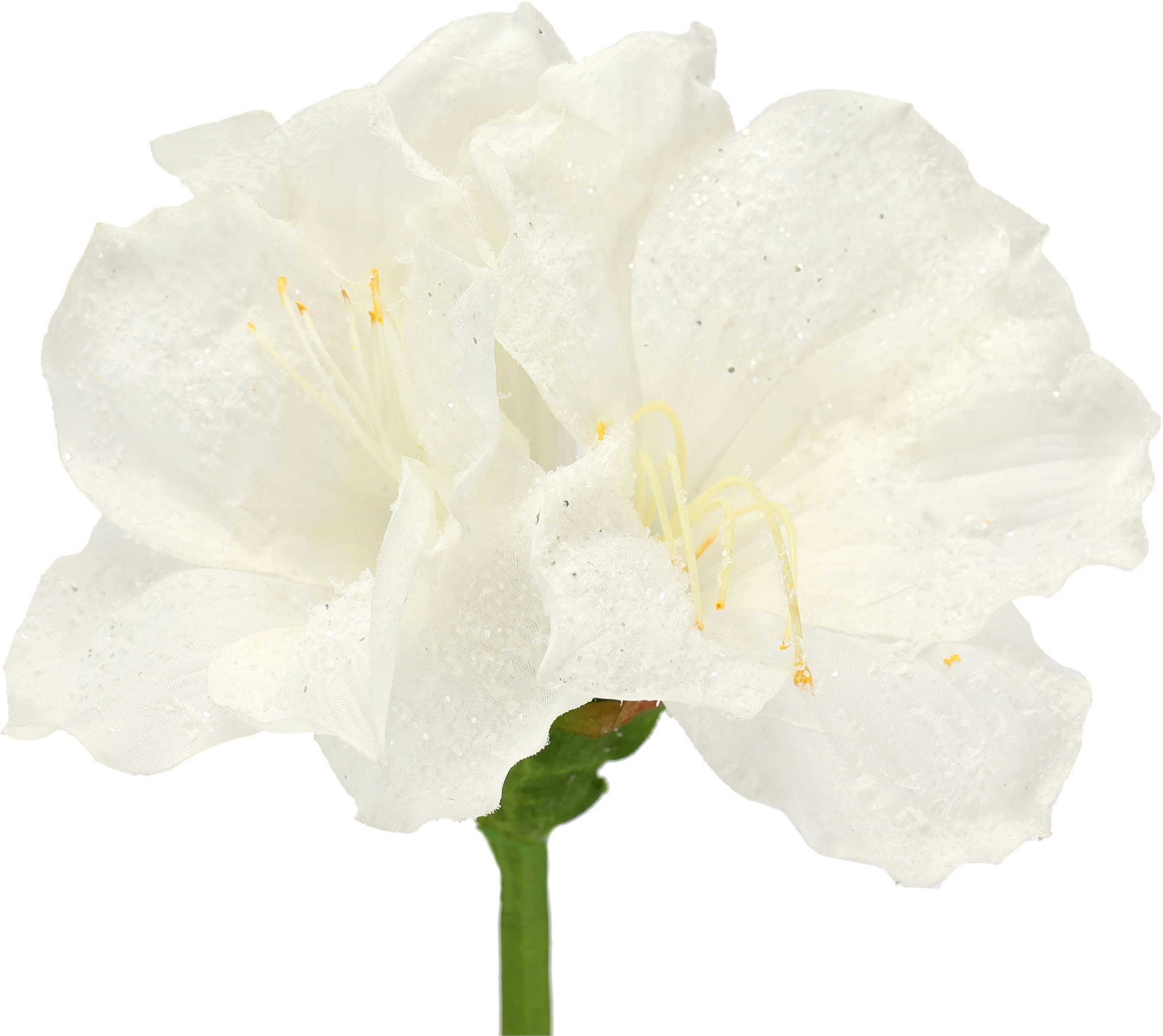I.GE.A. Kunstblume »Amaryllis 2er Set«, 60cm Blumen Zweig Dekozweig Weihnachtsdeko Weihnachtsblume Deko