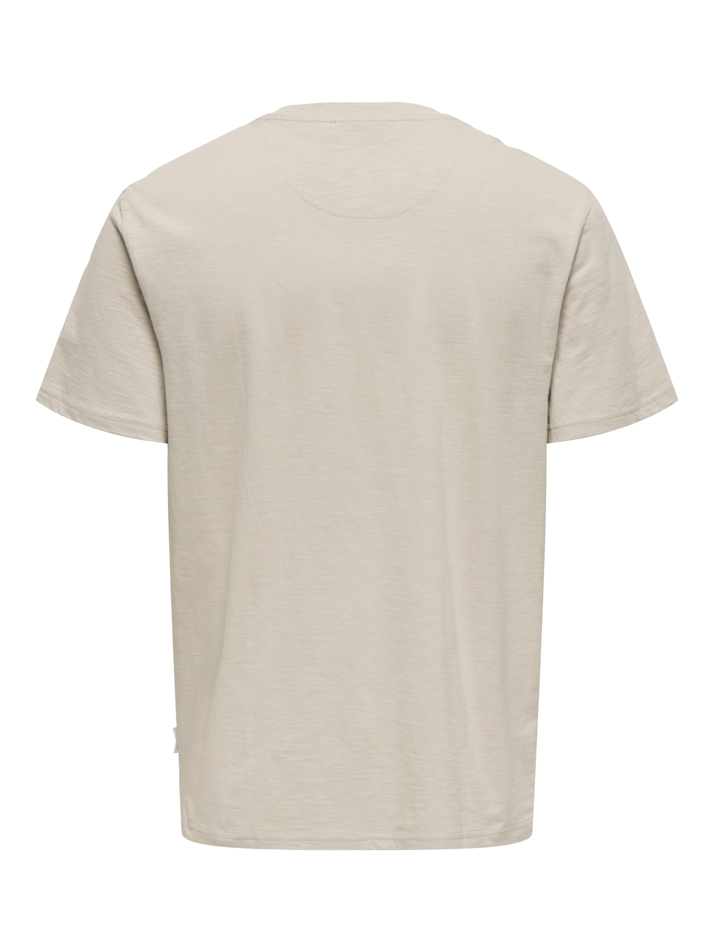 ONLY & SONS Rundhalsshirt »ONSPERRY LIFE REG LEAF POCKETTEE«