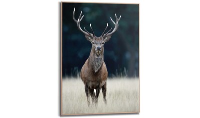 Reinders! Wandbild »Slim Frame Wood 50x70 Deer« kaufen