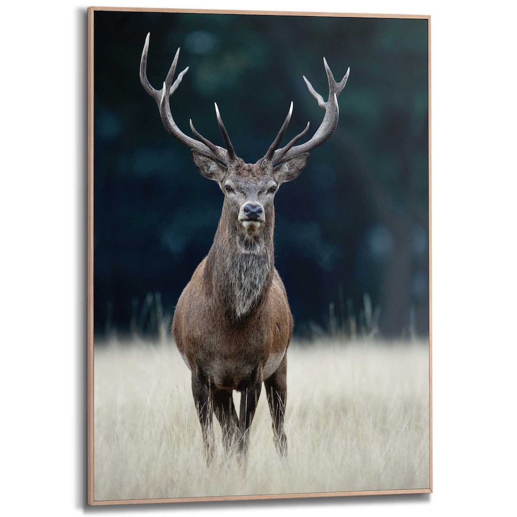 Reinders! Wandbild »Slim Frame Wood 50x70 Deer«