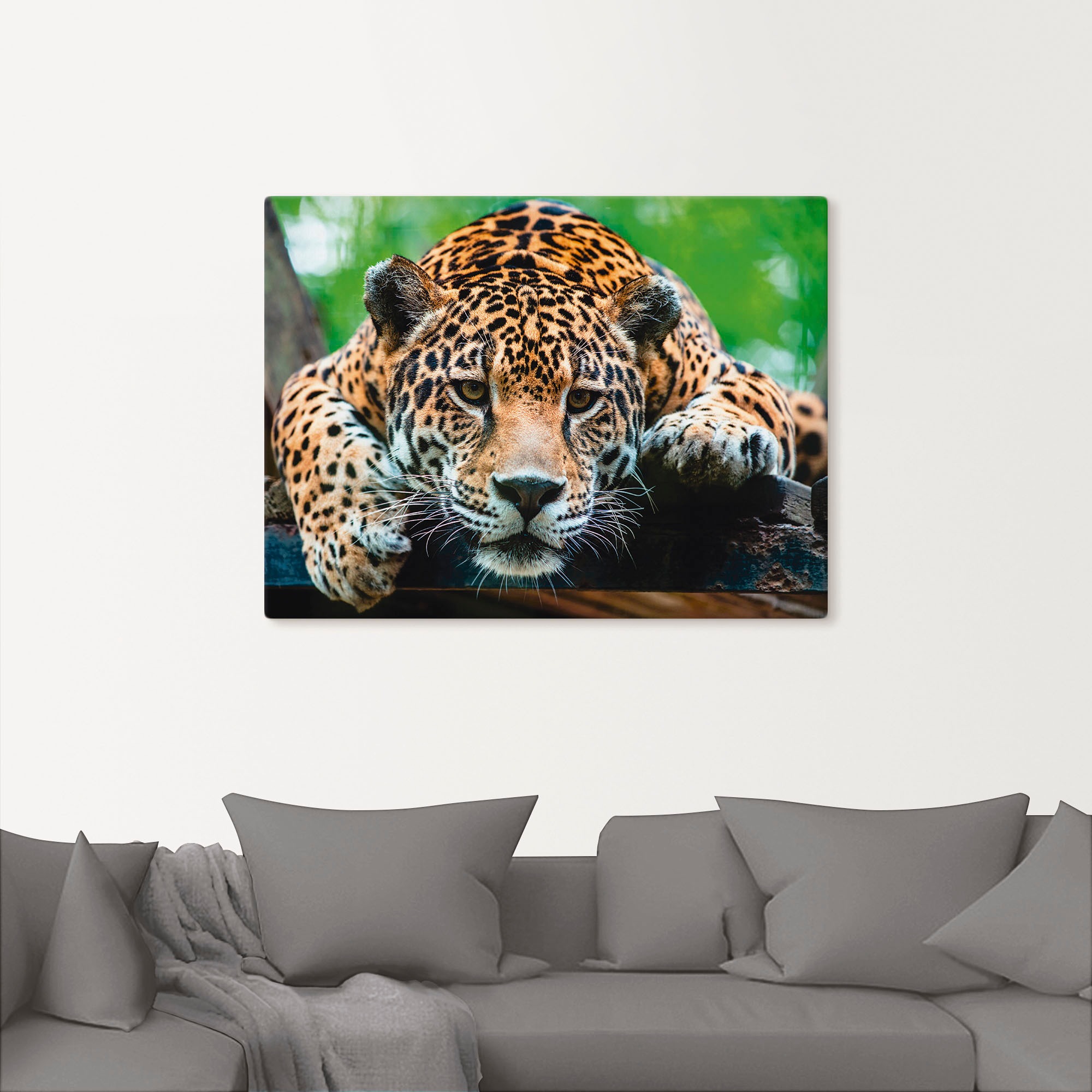 Artland Wandbild "Südamerikanischer Jaguar" Wildtiere 1 Stk. tlg. auf Holzr günstig online kaufen