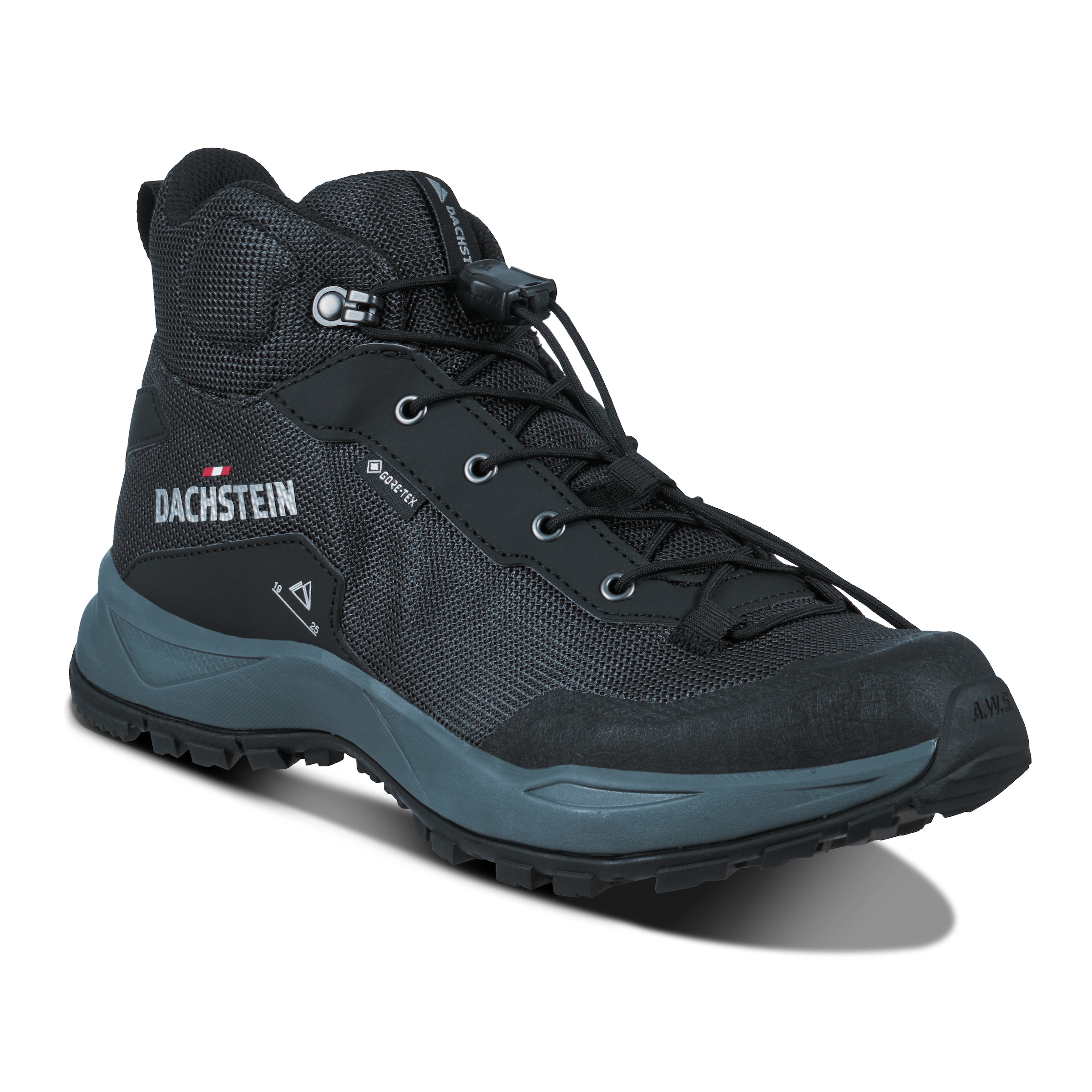 Dachstein Wanderschuh »DELTA ASCENT MC GTXW«, wasserdicht