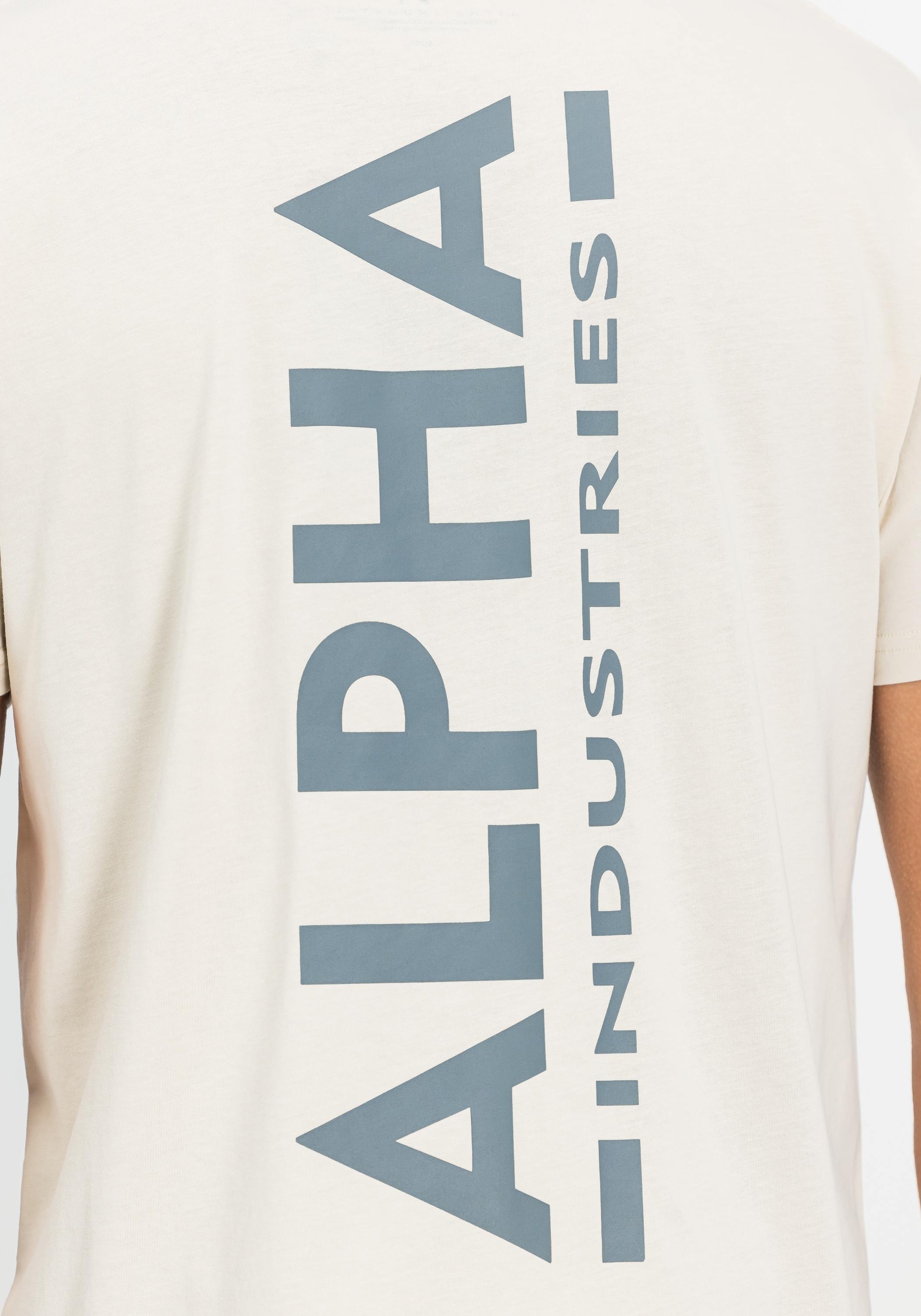 Alpha Industries T-Shirt »Backprint T-Shirt T-Shirt«
