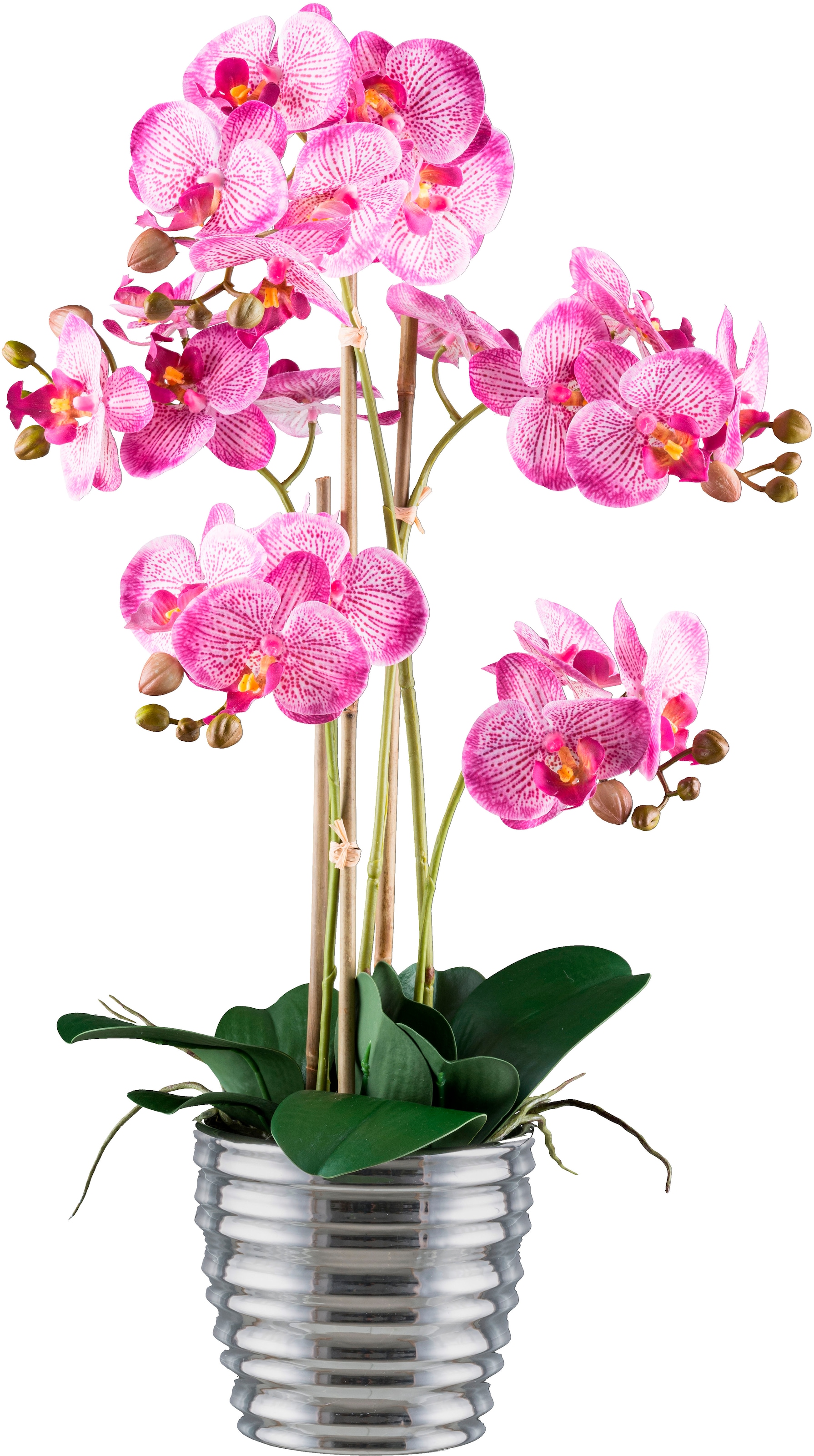 Creativ green Kunstorchidee "Orchidee Phalaenopsis", mit silberfarbenem Keramiktopf