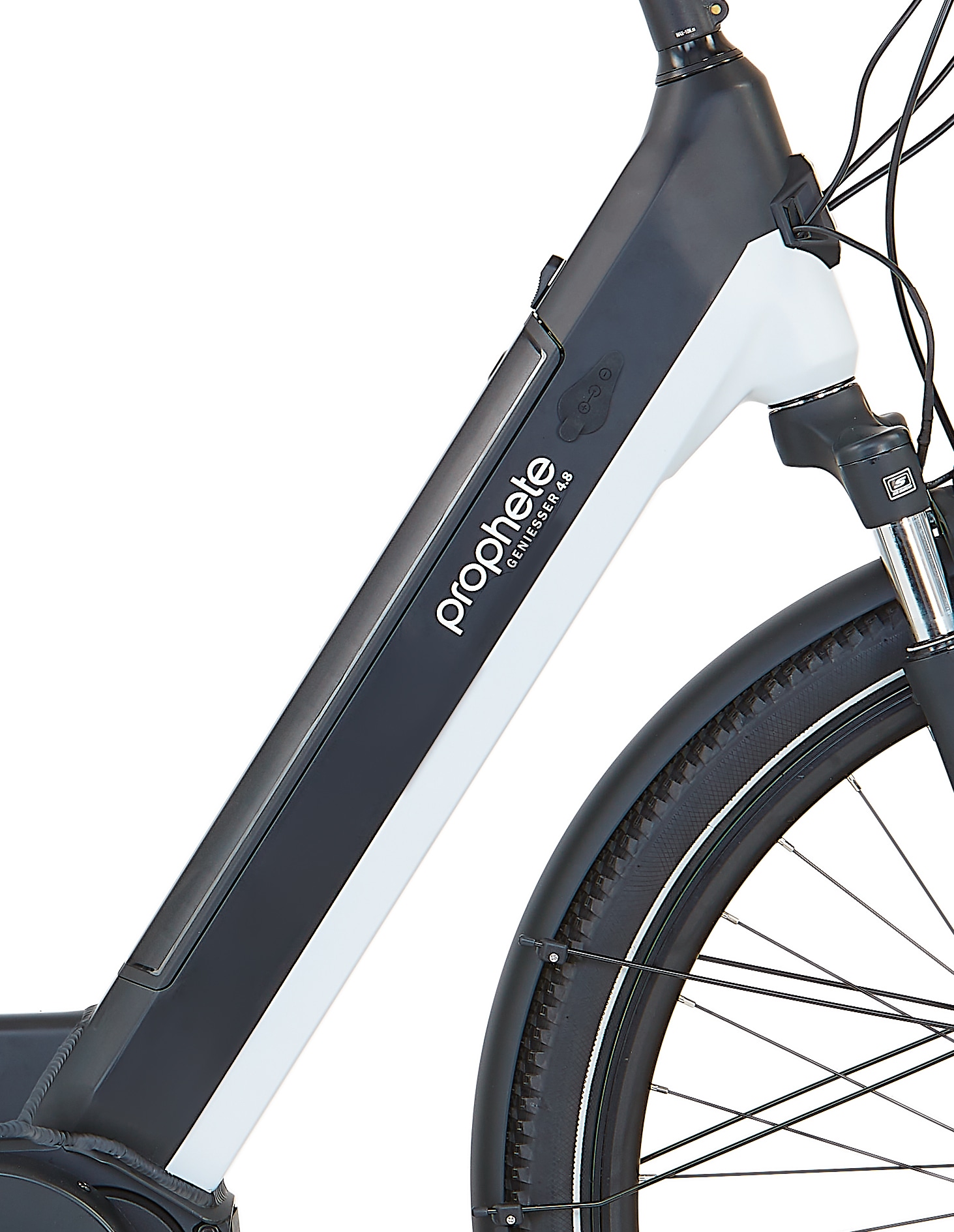 Prophete »Geniesser 4.8« 7 Gang Shimano Nexus Schaltwerk Nabenschaltung Mittelmotor 250 W Pedelec, Elektrofahrrad für Damen u. Herren