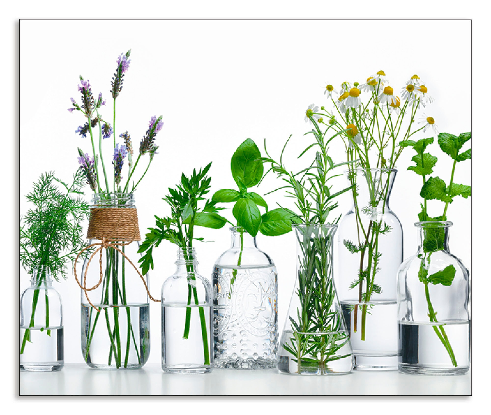 Artland Küchenrückwand "Öle mit Kräutern" Alu Spritzschutz mit Klebeband, e günstig online kaufen
