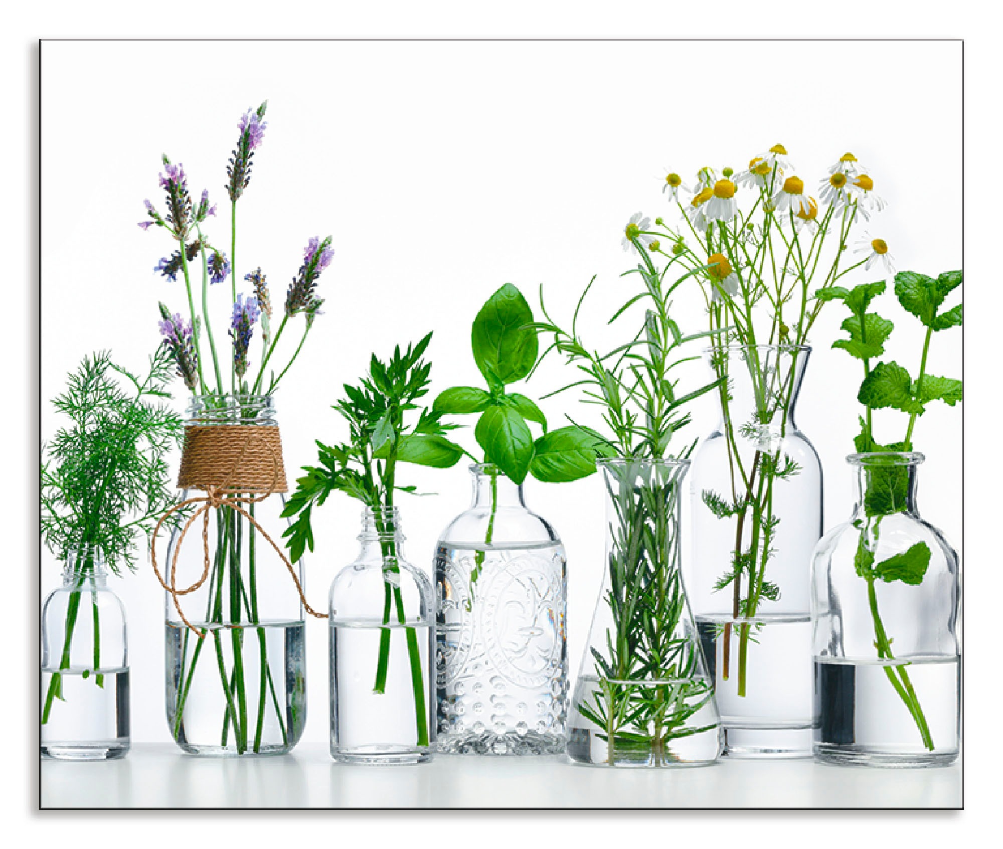 Artland "Öle mit Kräutern" Alu Spritzschutz mit Klebeband, einfache Montage günstig online kaufen