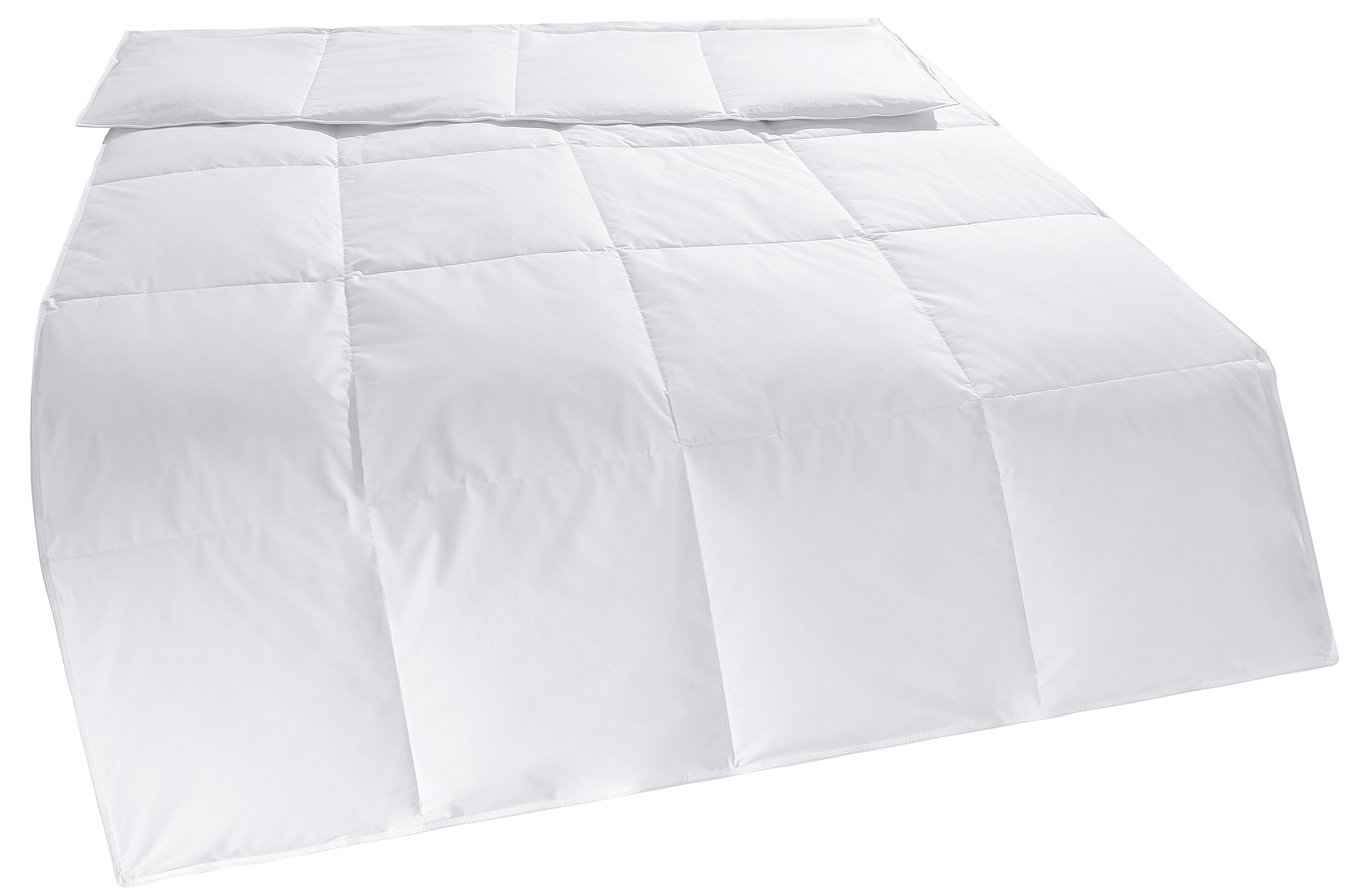 OTTO home Daunenbettdecke + Kopfkissen »Cyra Set, Bettdecke 135x200 & 155x220 cm mit Kissen 80x80 cm« Set, wo besonders auf artgerechte Haltung der Tiere geachtet wird