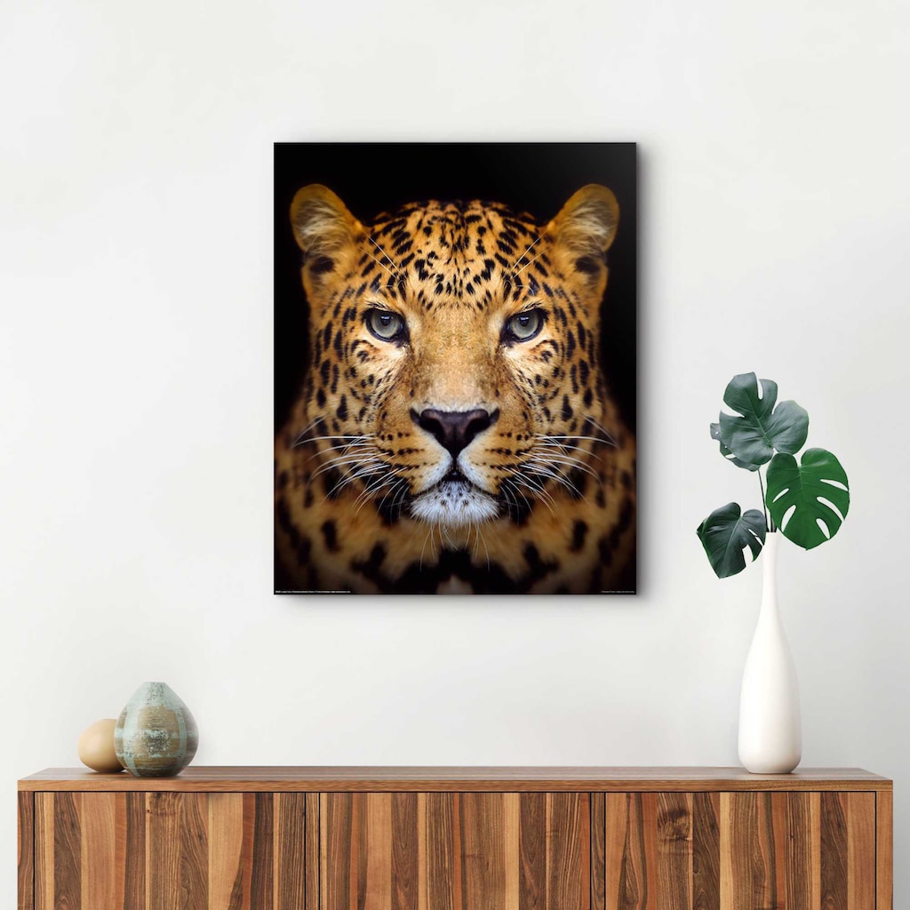 Reinders! Wandbild »Wandbild Leopard Kräftig - Panther - Raubetier - Gefleckt«, Leopard, (1 St.)