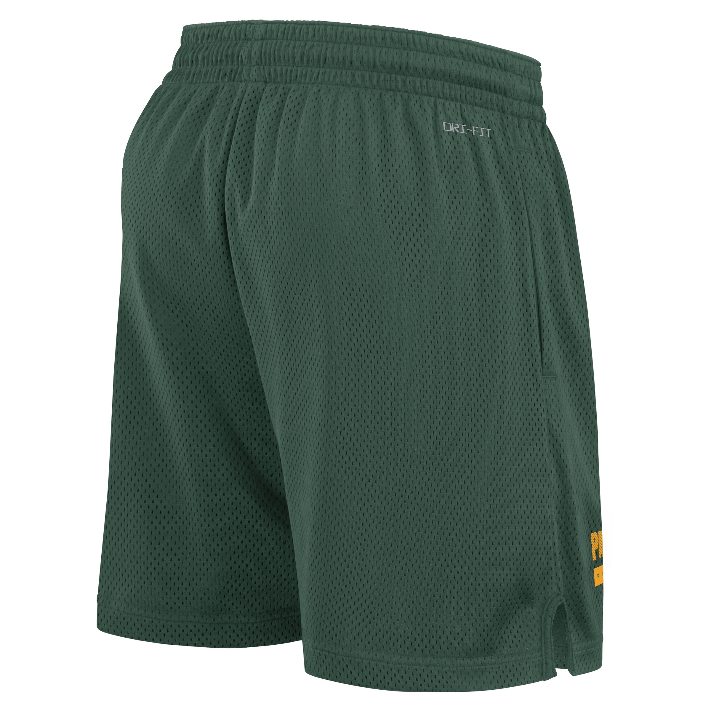 Nike Sporthose "Nike Shorts Green Bay Packers Nike Dri-Fit Mesh" günstig online kaufen