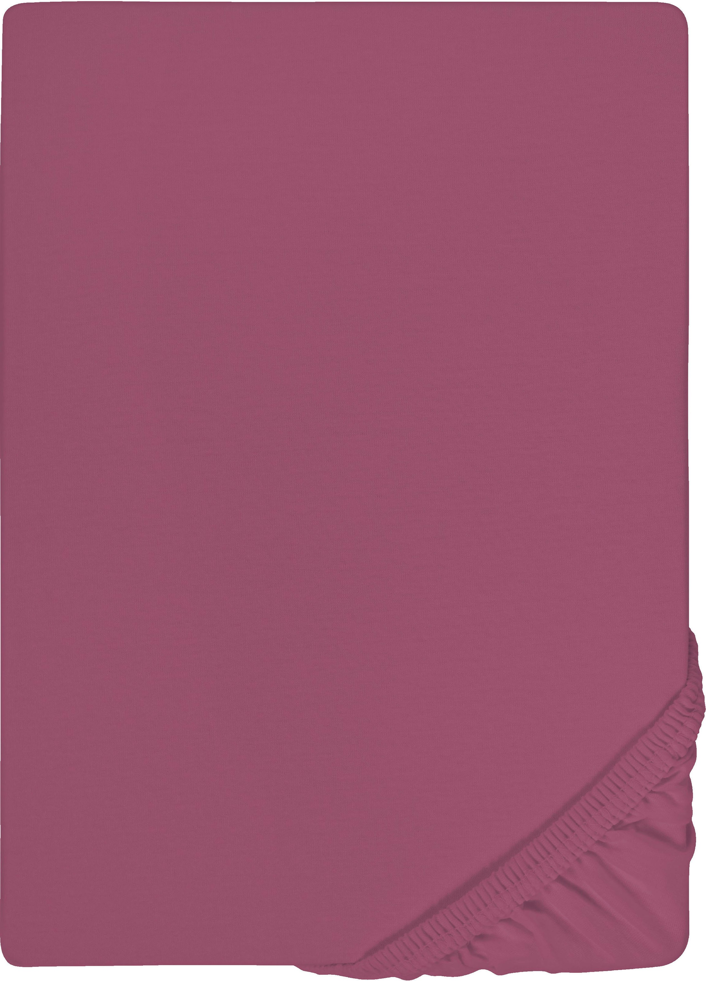 Castell - Markenbettwäsche Spannbettlaken "Jersey in Gr. 90x200, 140x200 oder 180x200 cm" aus Baumwolle, für Matratzen bis 22 cm Höhe, Bettlaken, Spannbetttuch